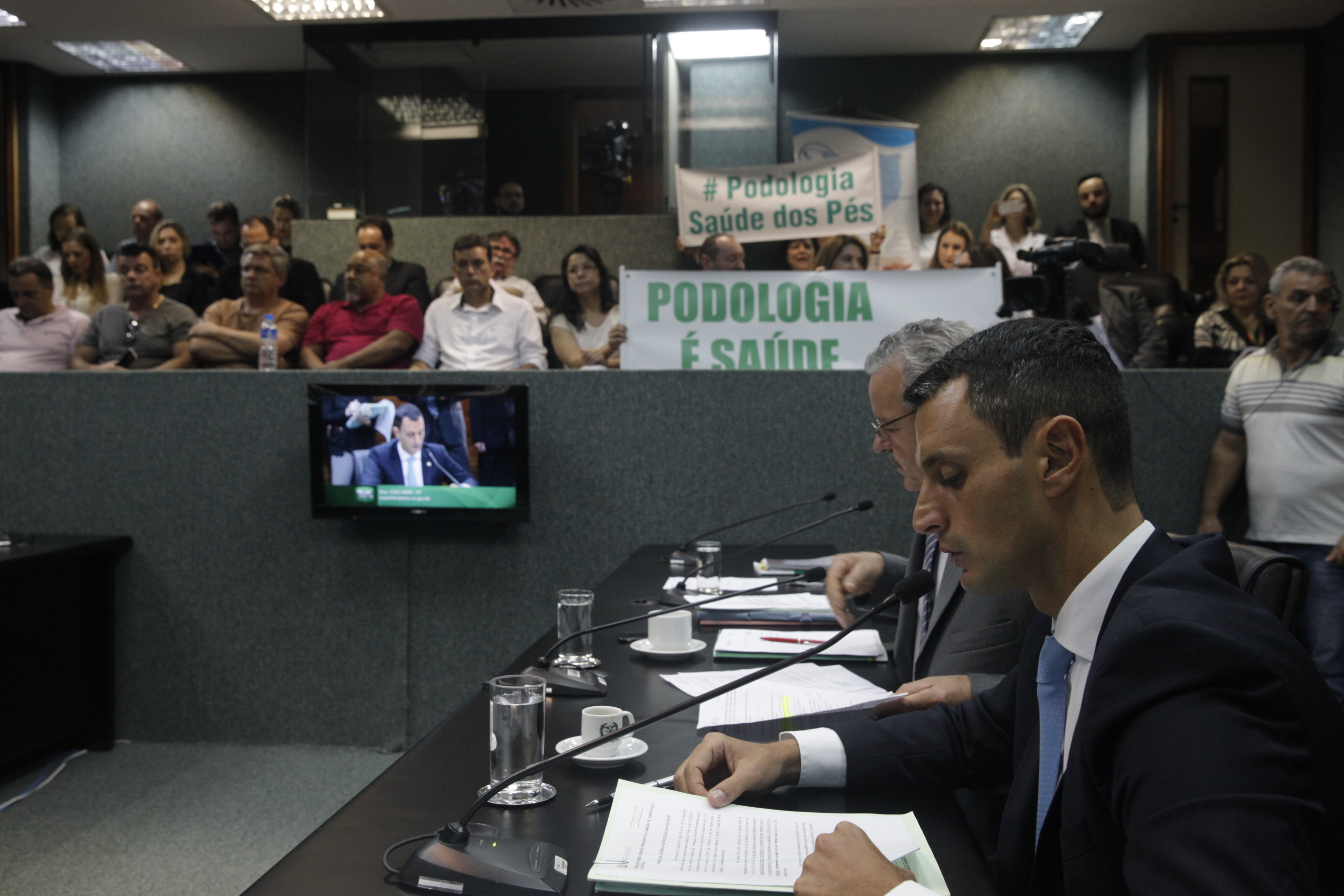 Comissão de Constituição e Justiça.