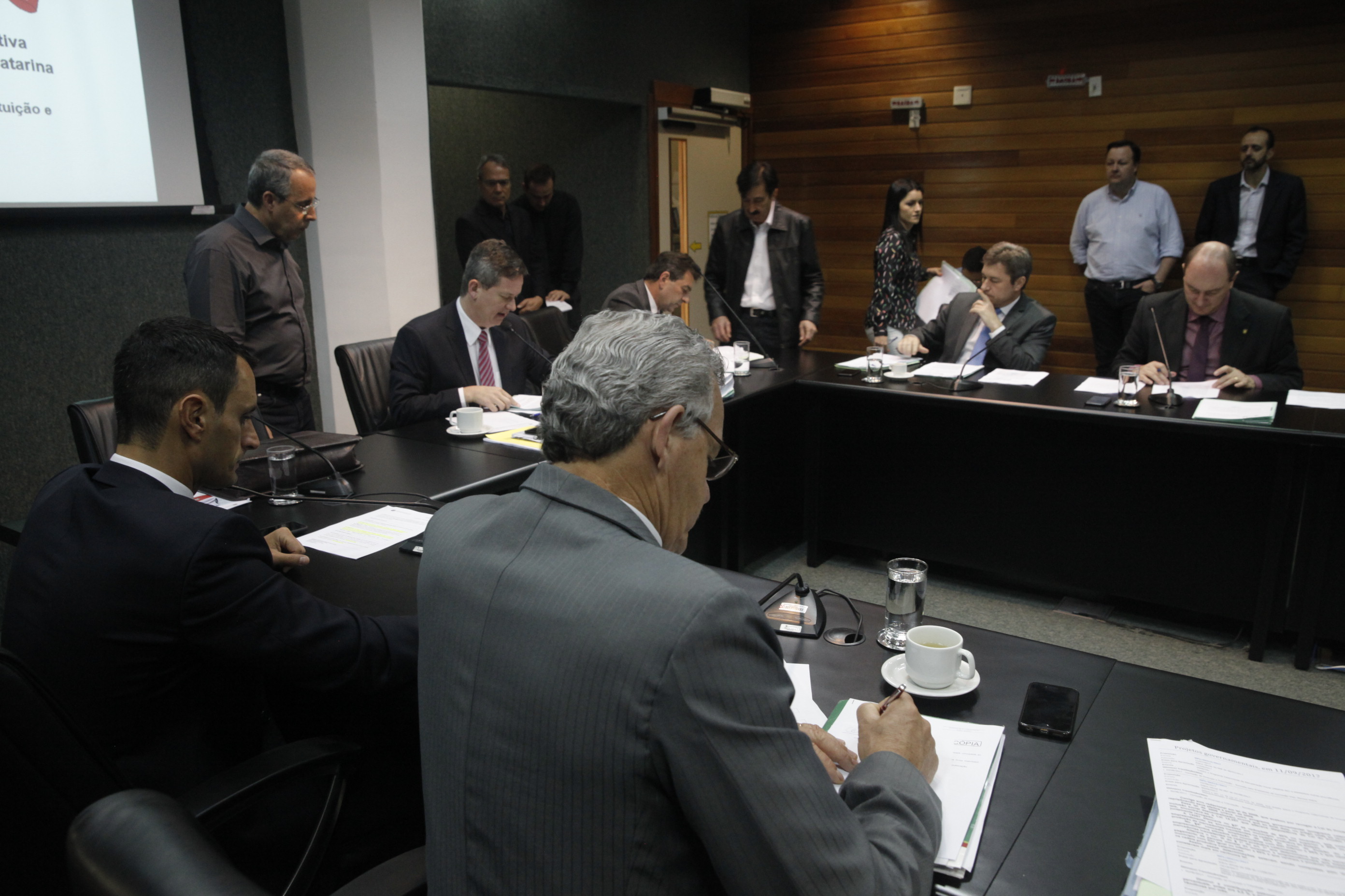 Comissão de Constituição e Justiça.