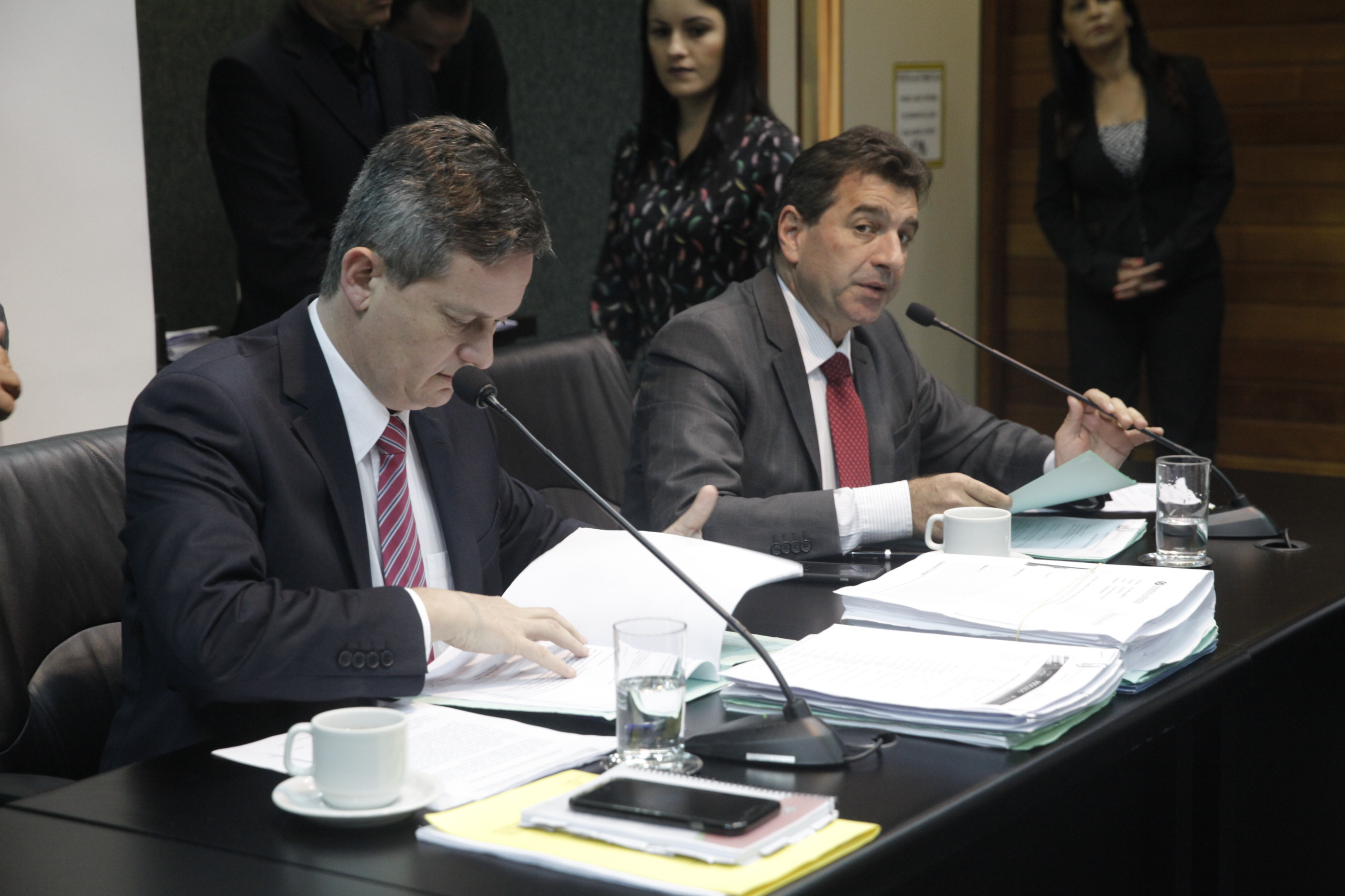 Comissão de Constituição e Justiça.