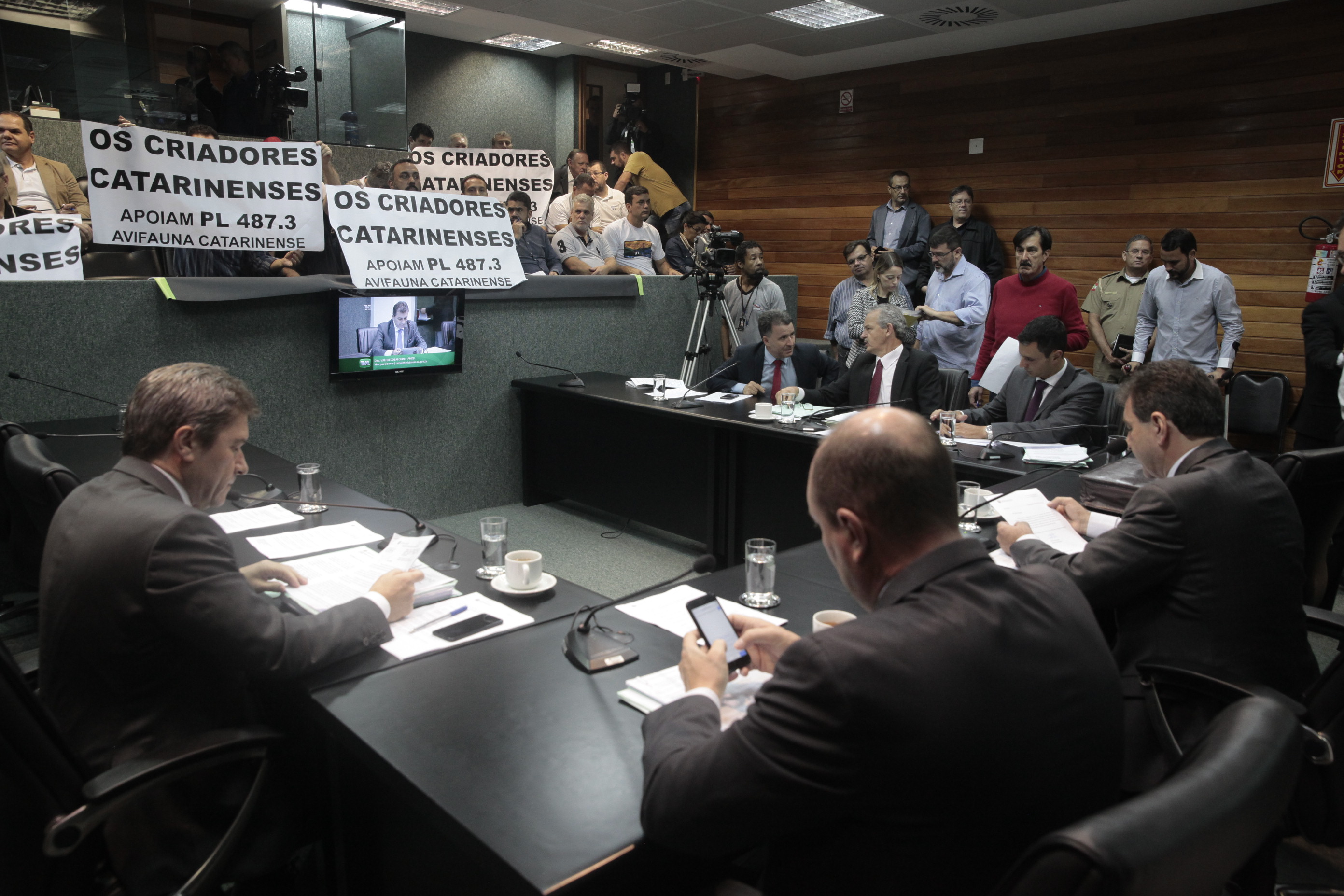 Comissão de Constituição e Justiça