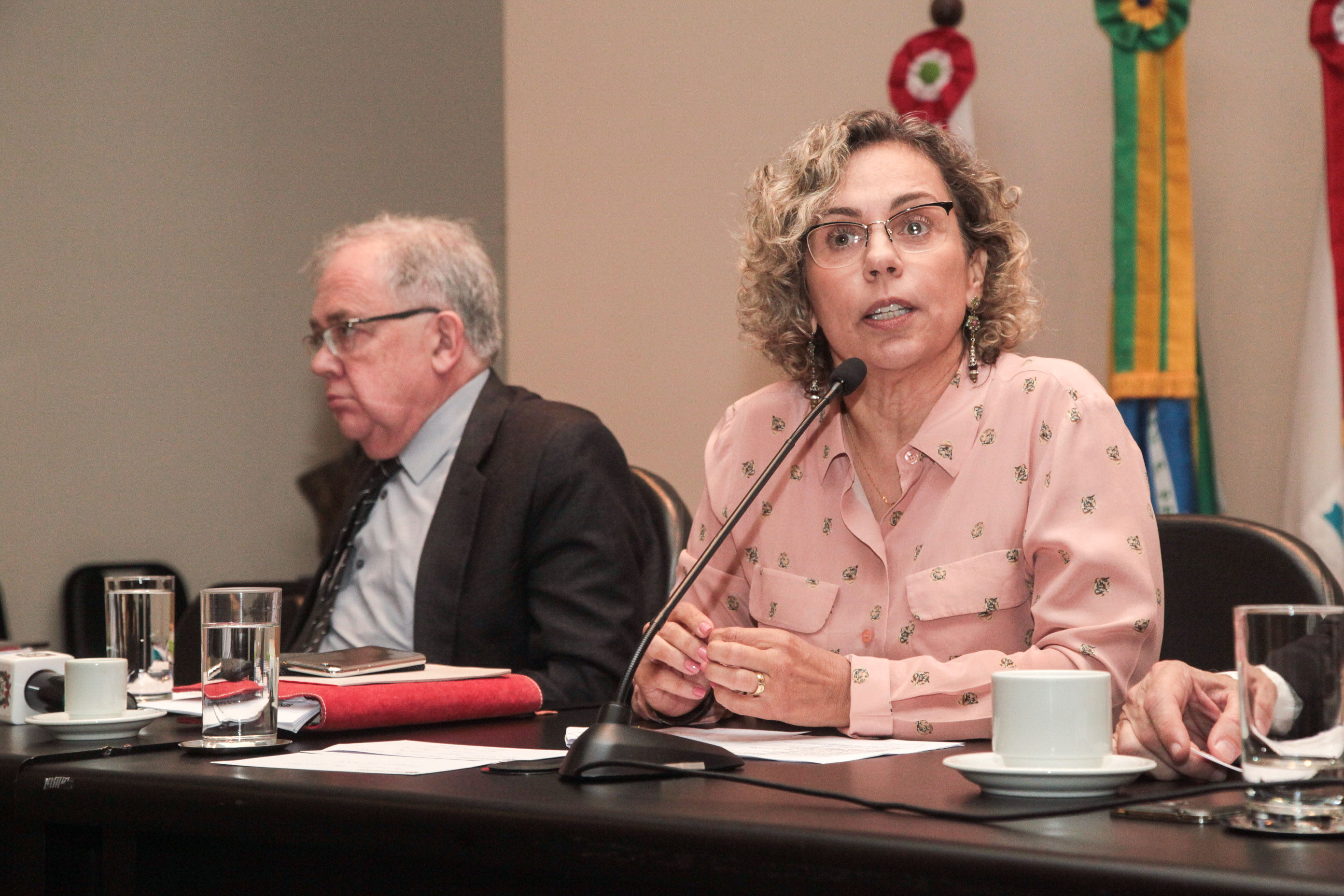 Audiência Pública Sobre o Repasse de Recursos da Secretaria de Saúde.