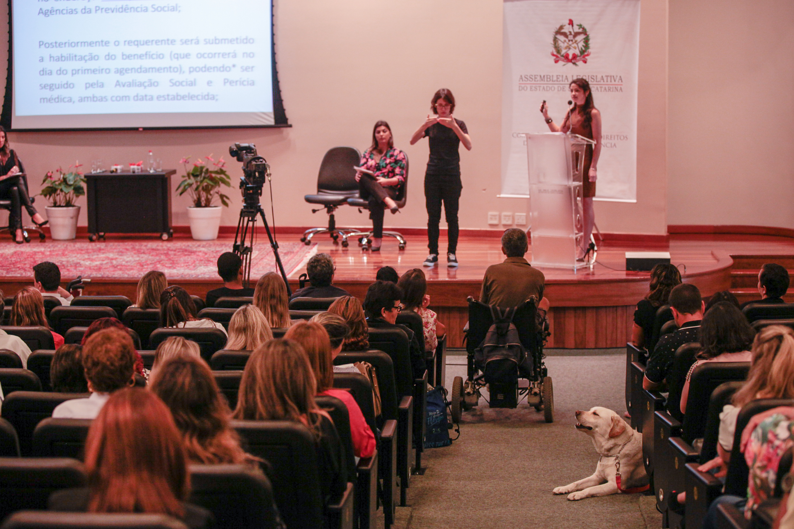 Seminário Inclusão da Pessoa com Deficiência.