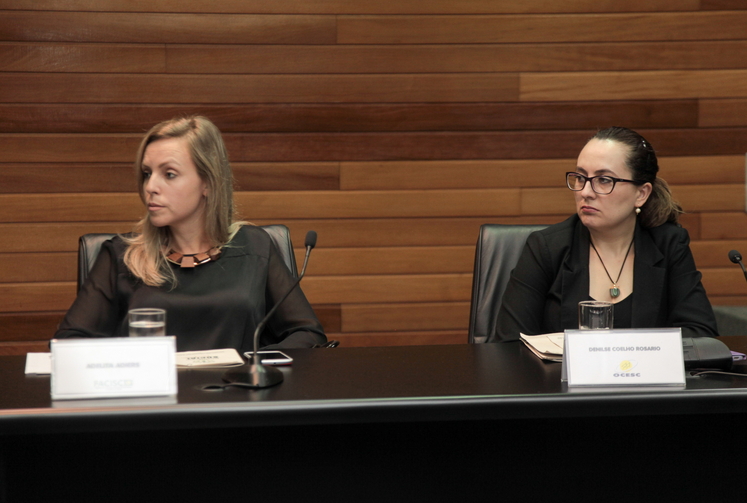 Reunião da Comissão de Responsabilidade Social.