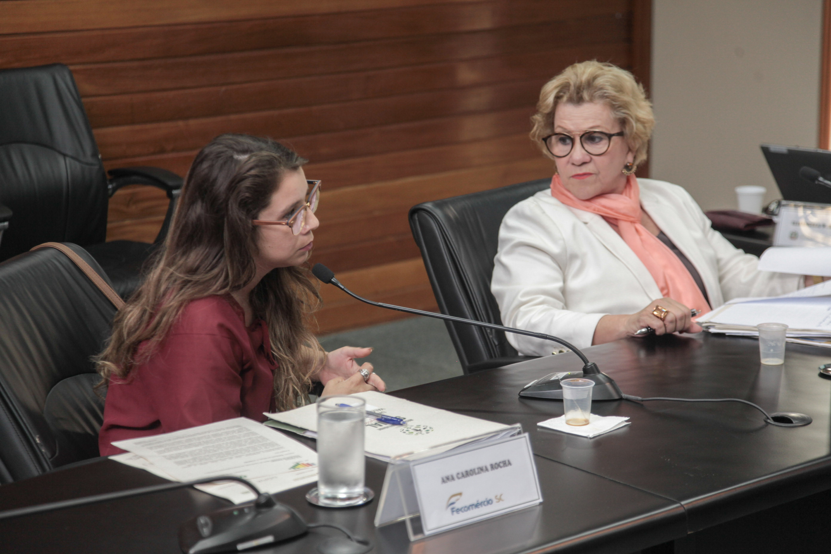 Reunião da Comissão de Responsabilidade Social.