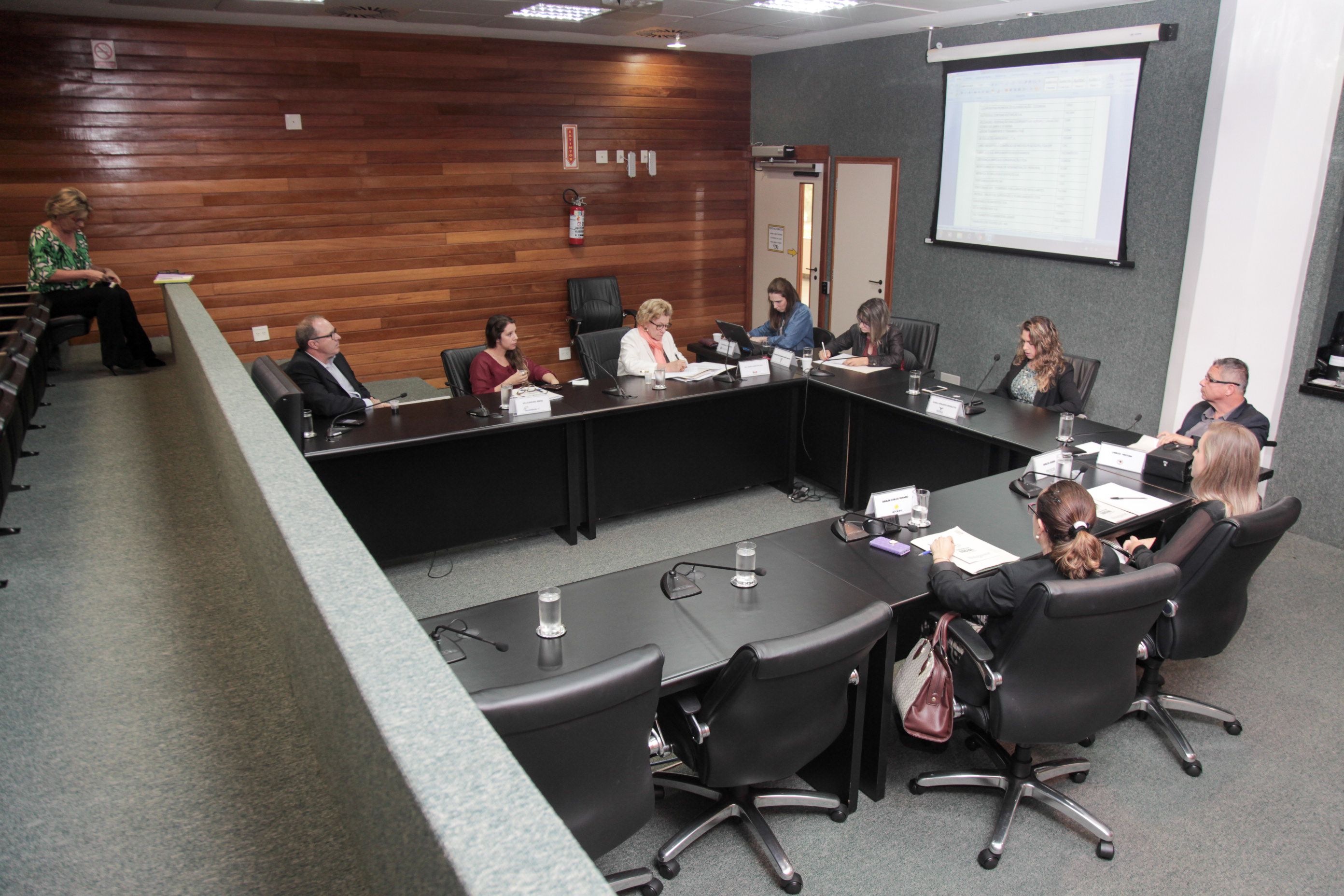 Reunião da Comissão de Responsabilidade Social.