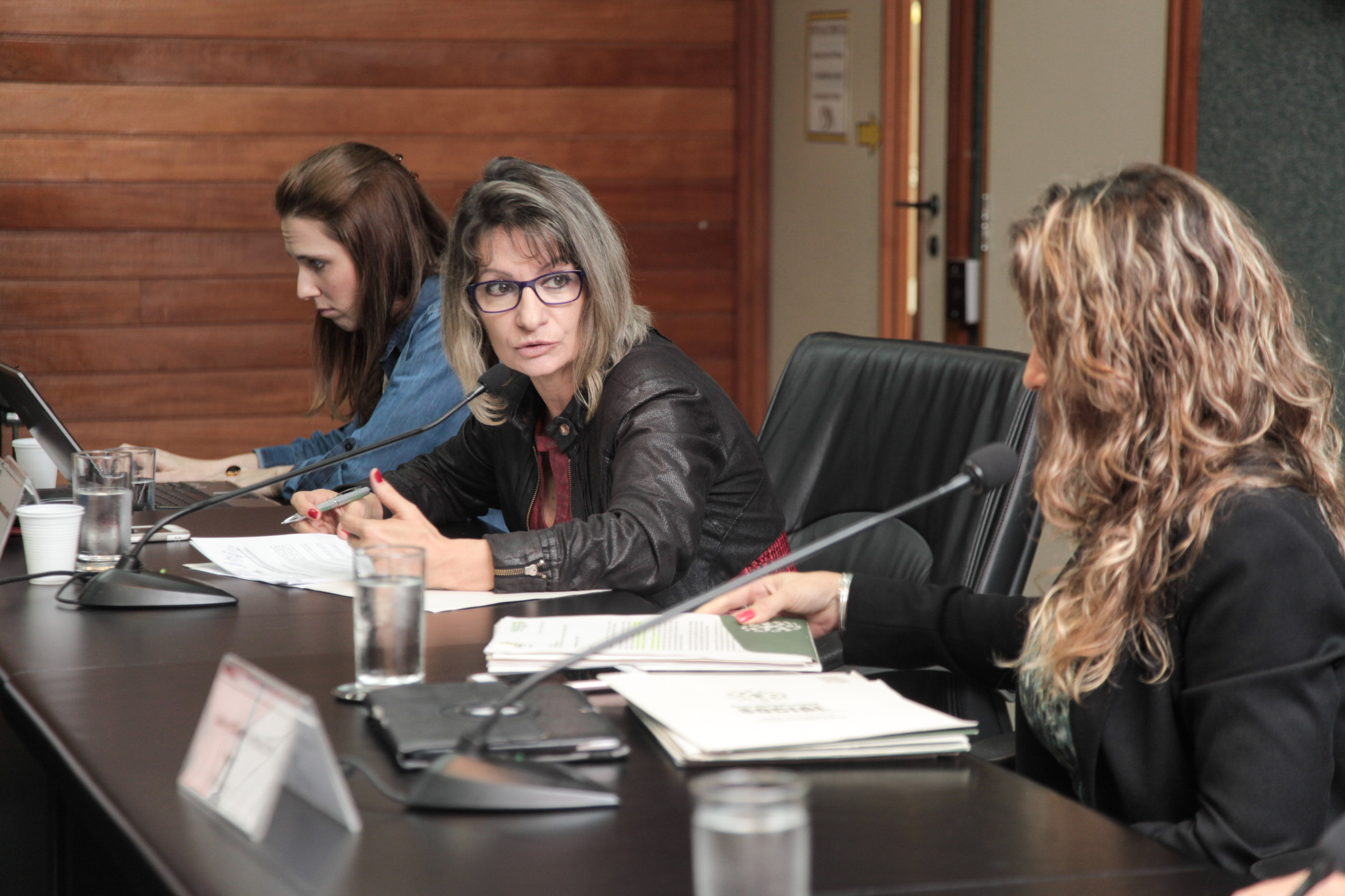 Reunião da Comissão de Responsabilidade Social.