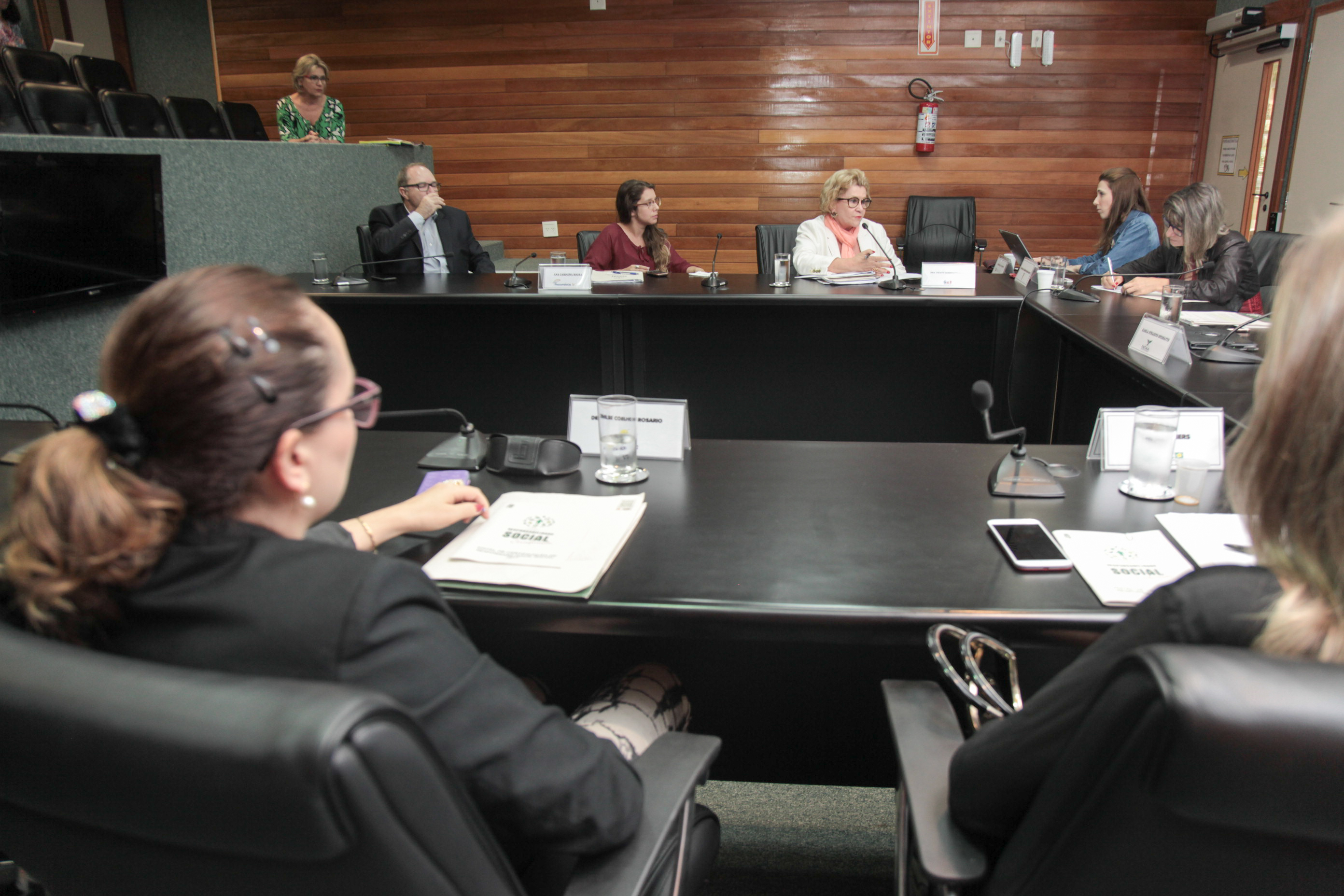 Reunião da Comissão de Responsabilidade Social.