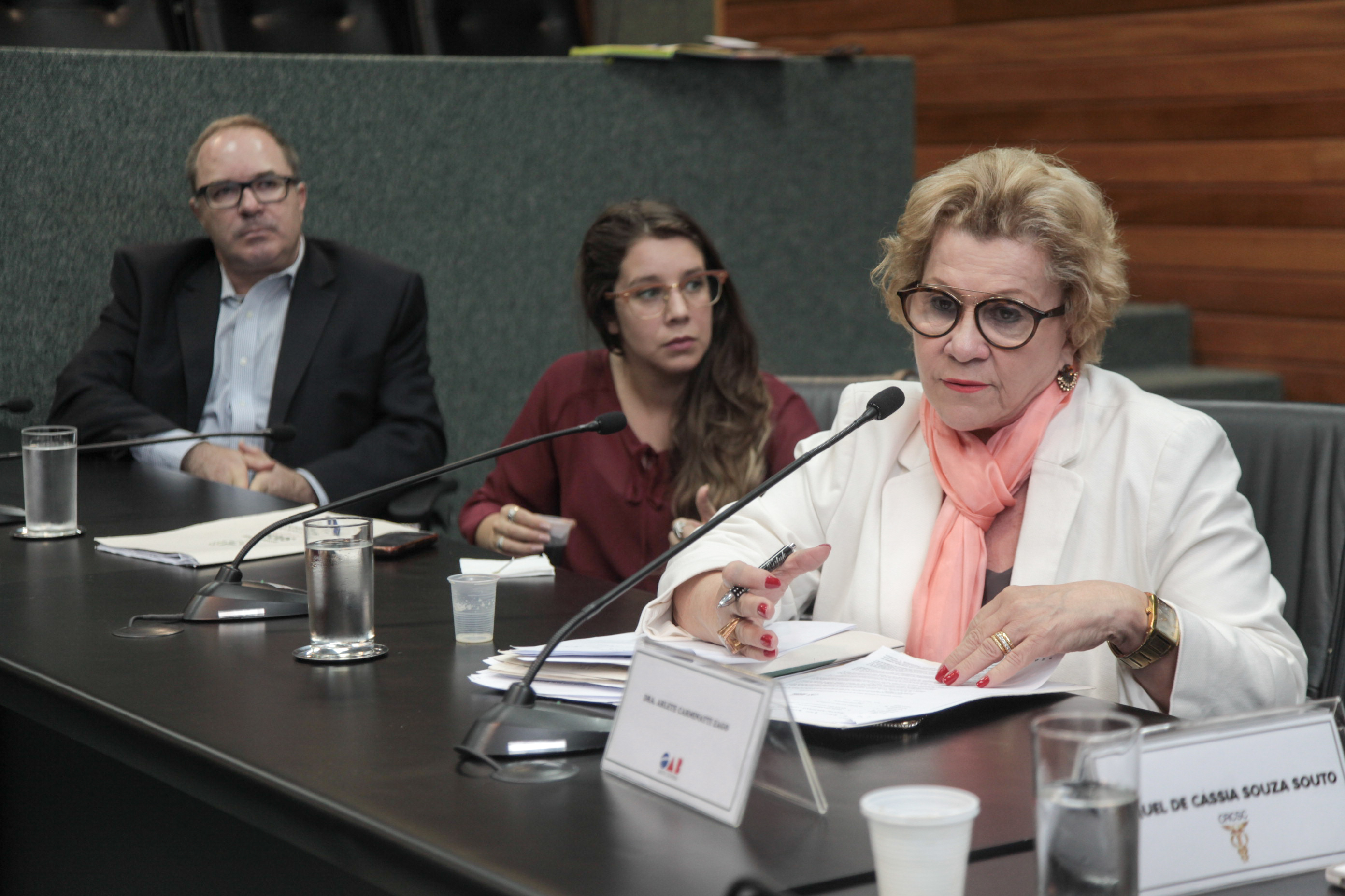 Reunião da Comissão de Responsabilidade Social.