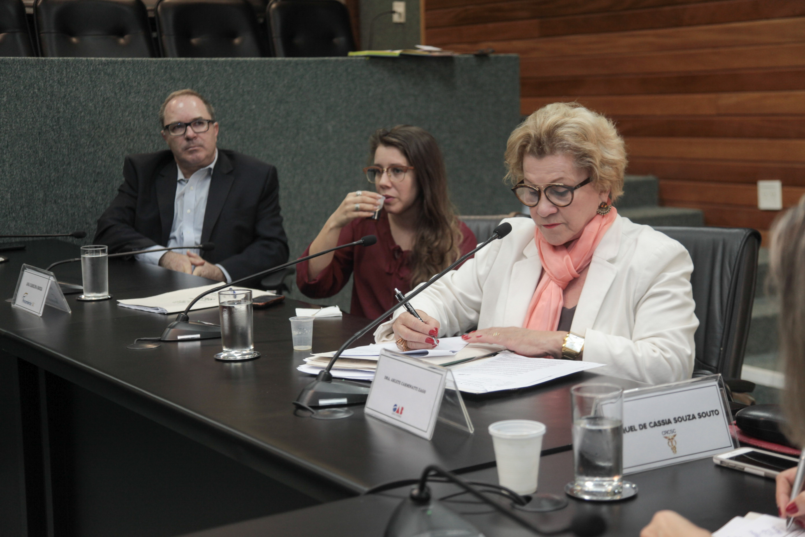 Reunião da Comissão de Responsabilidade Social.