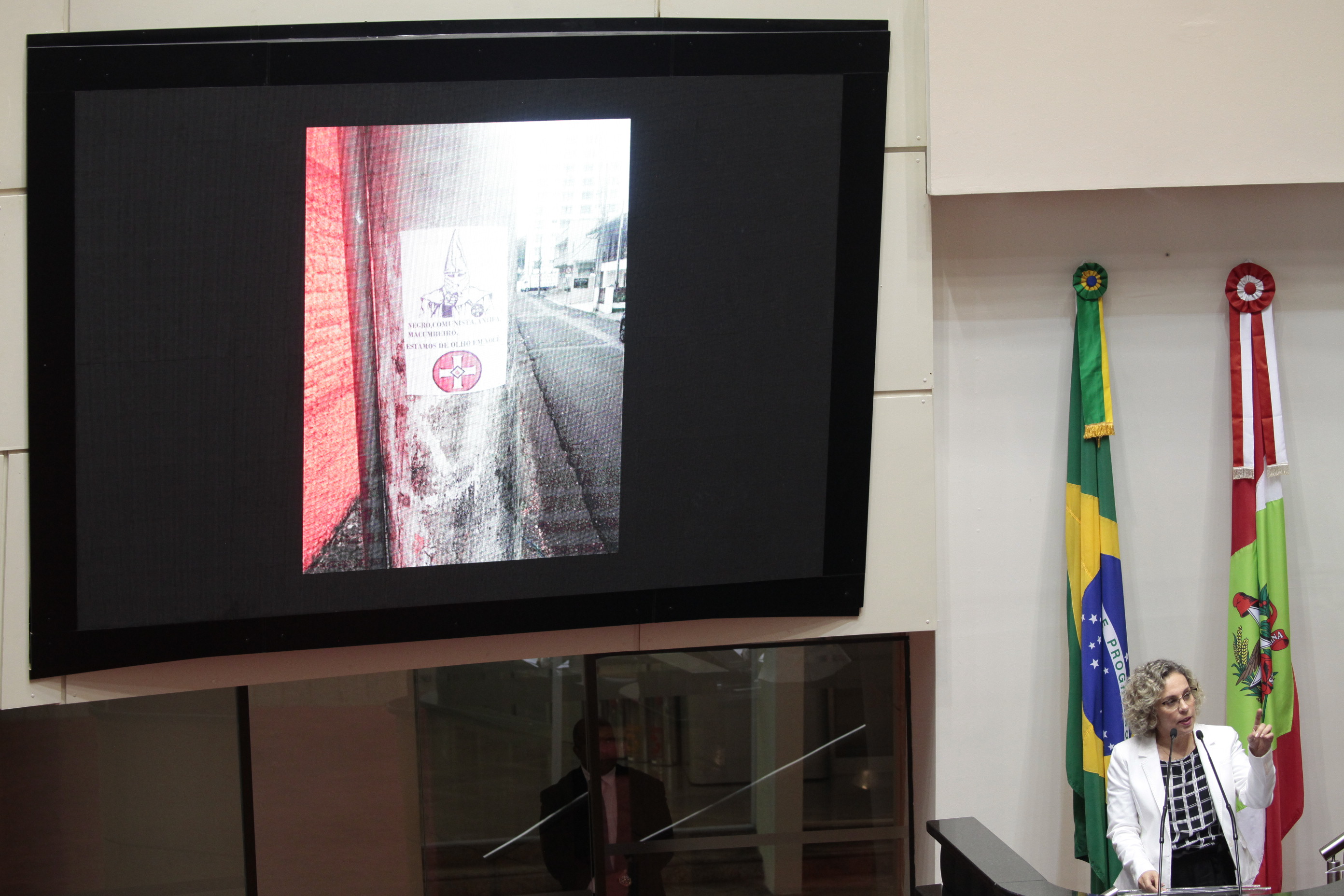 Deputada Ana Paula Lima (PT). Sessão Ordinária.