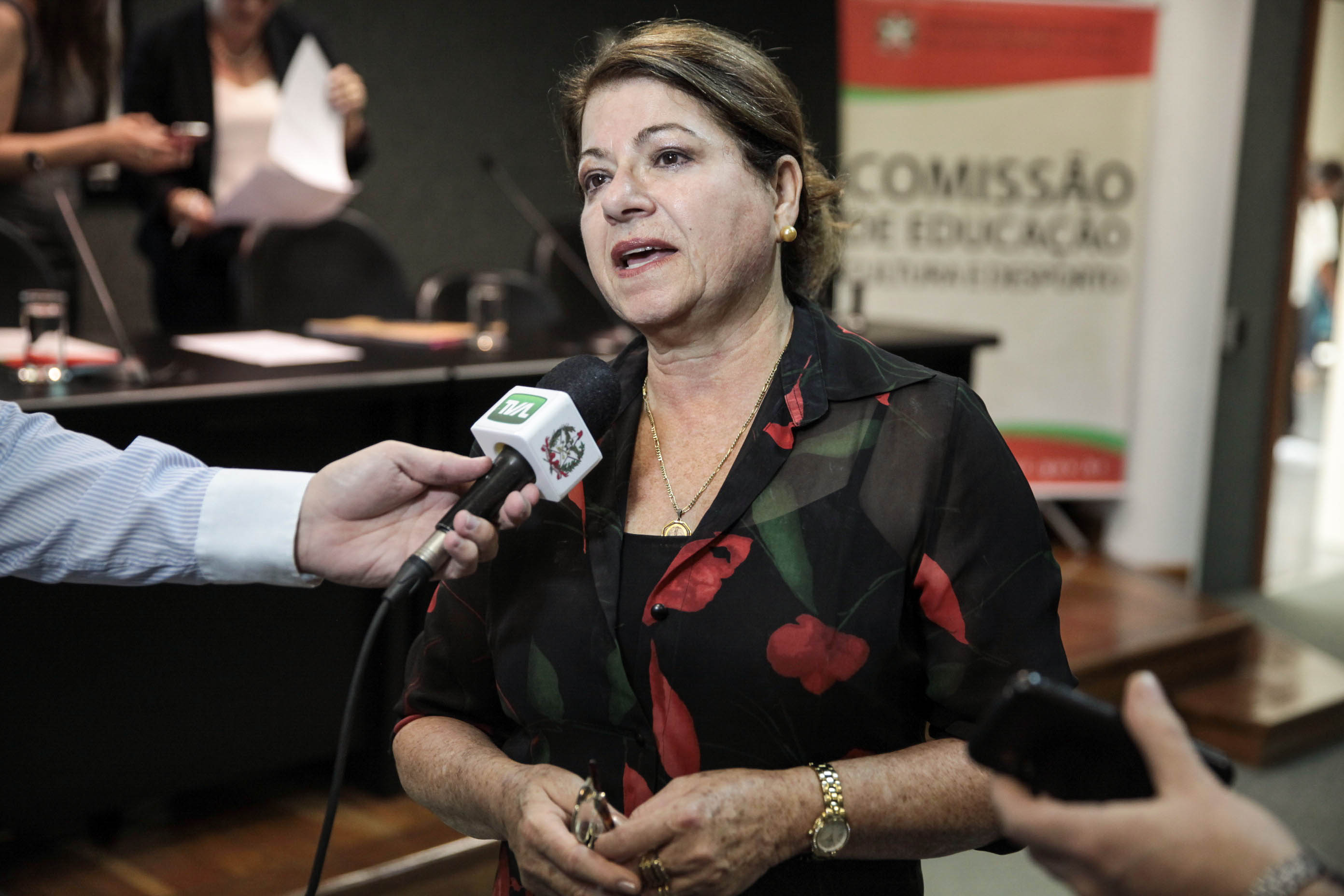 Comissão de Educação Cultura e Desporto.