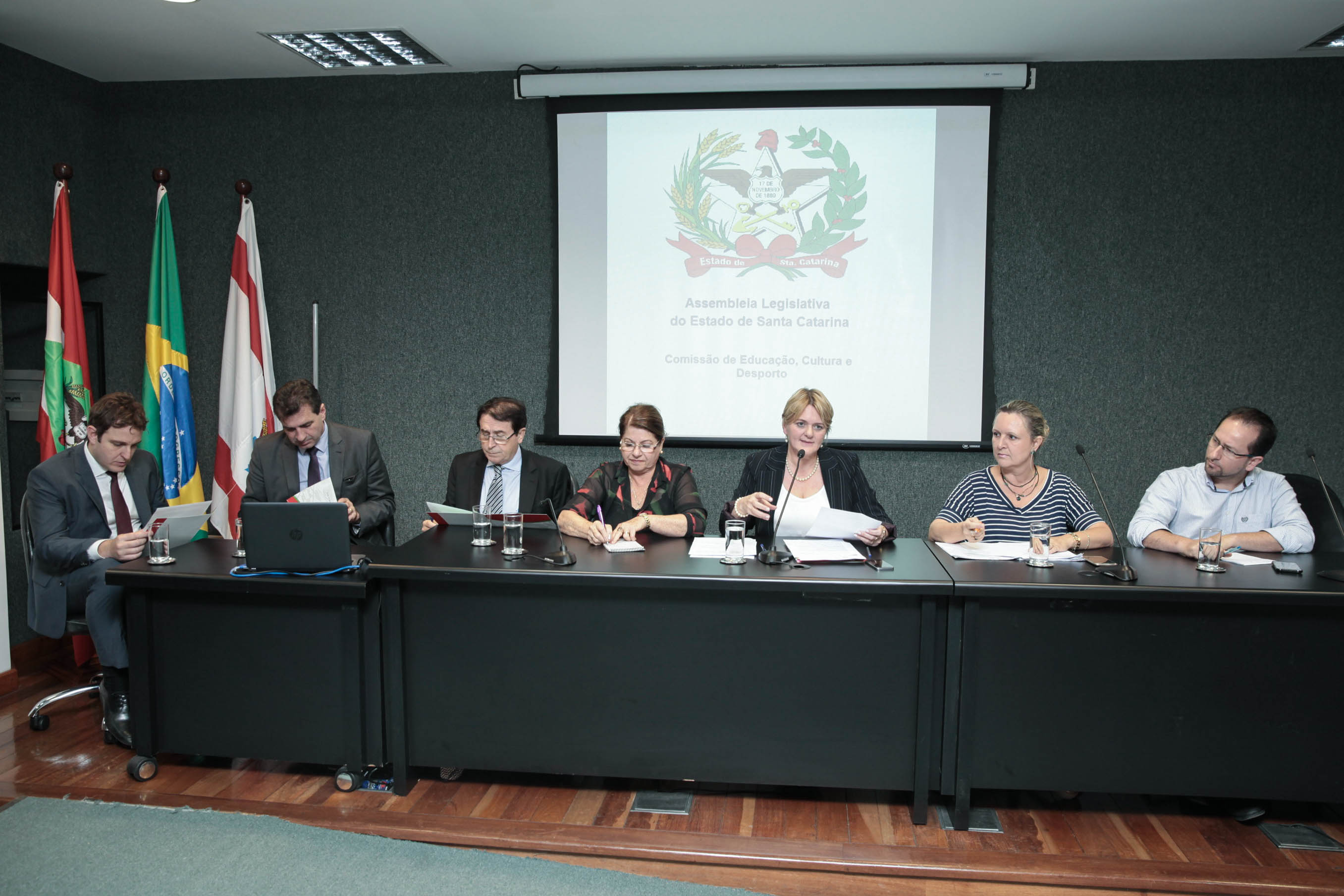 Comissão de Educação Cultura e Desporto.