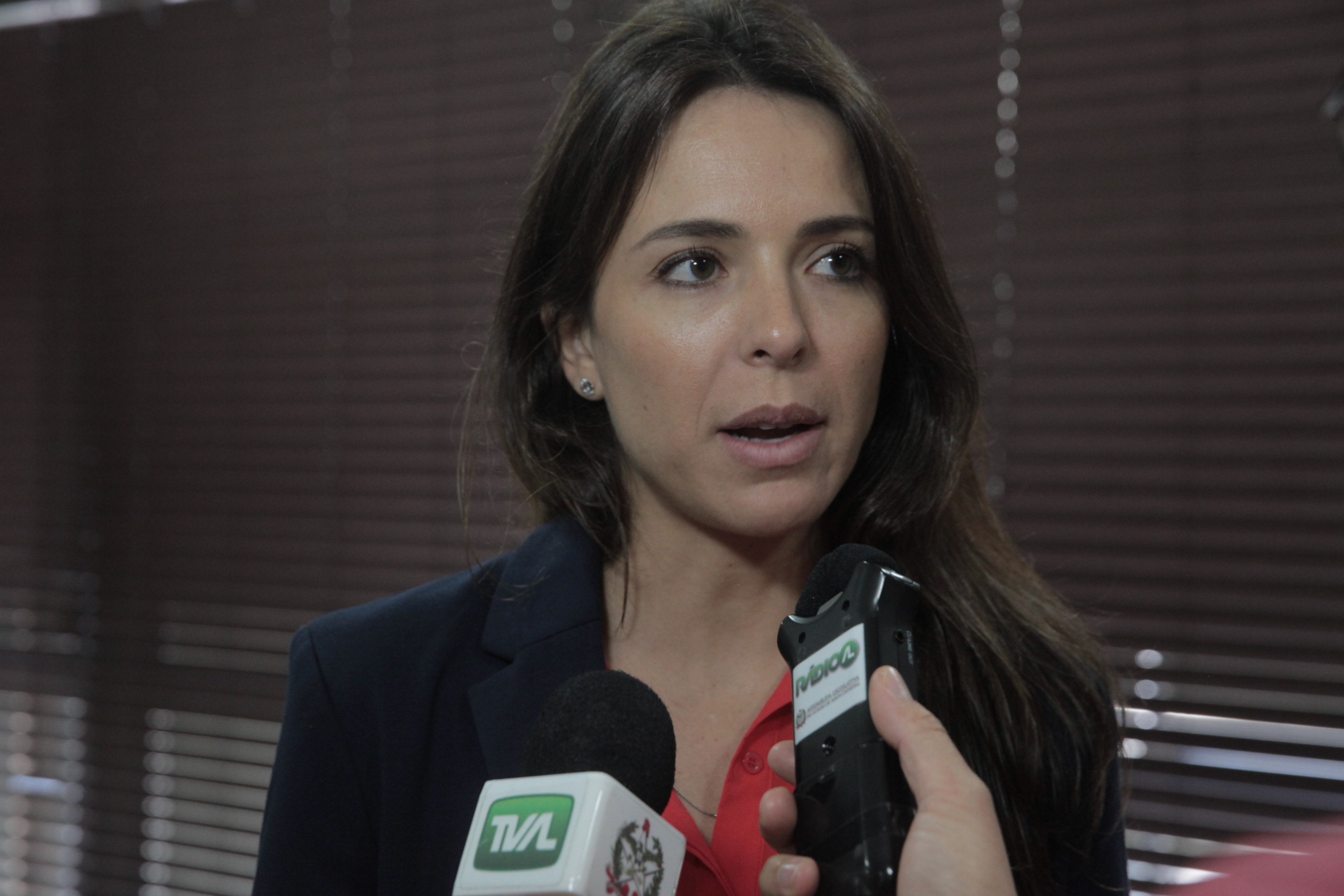 Deputados Estaduais do Rio Grande do Sul fazem visita técnica à Alesc para conhecer o Projeto de Consolidação das Leis do Estado de SC.