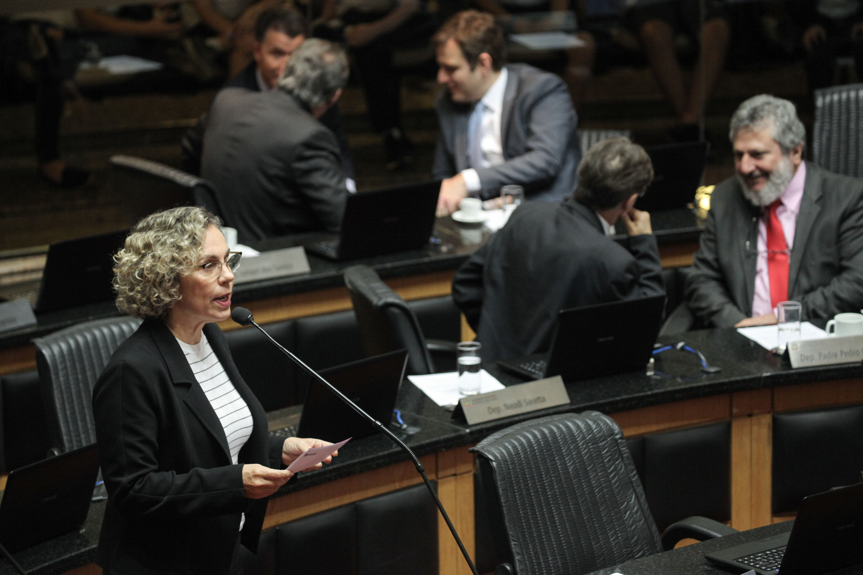 Deputada Ana Paula Lima (PT). Sessão Ordinária.