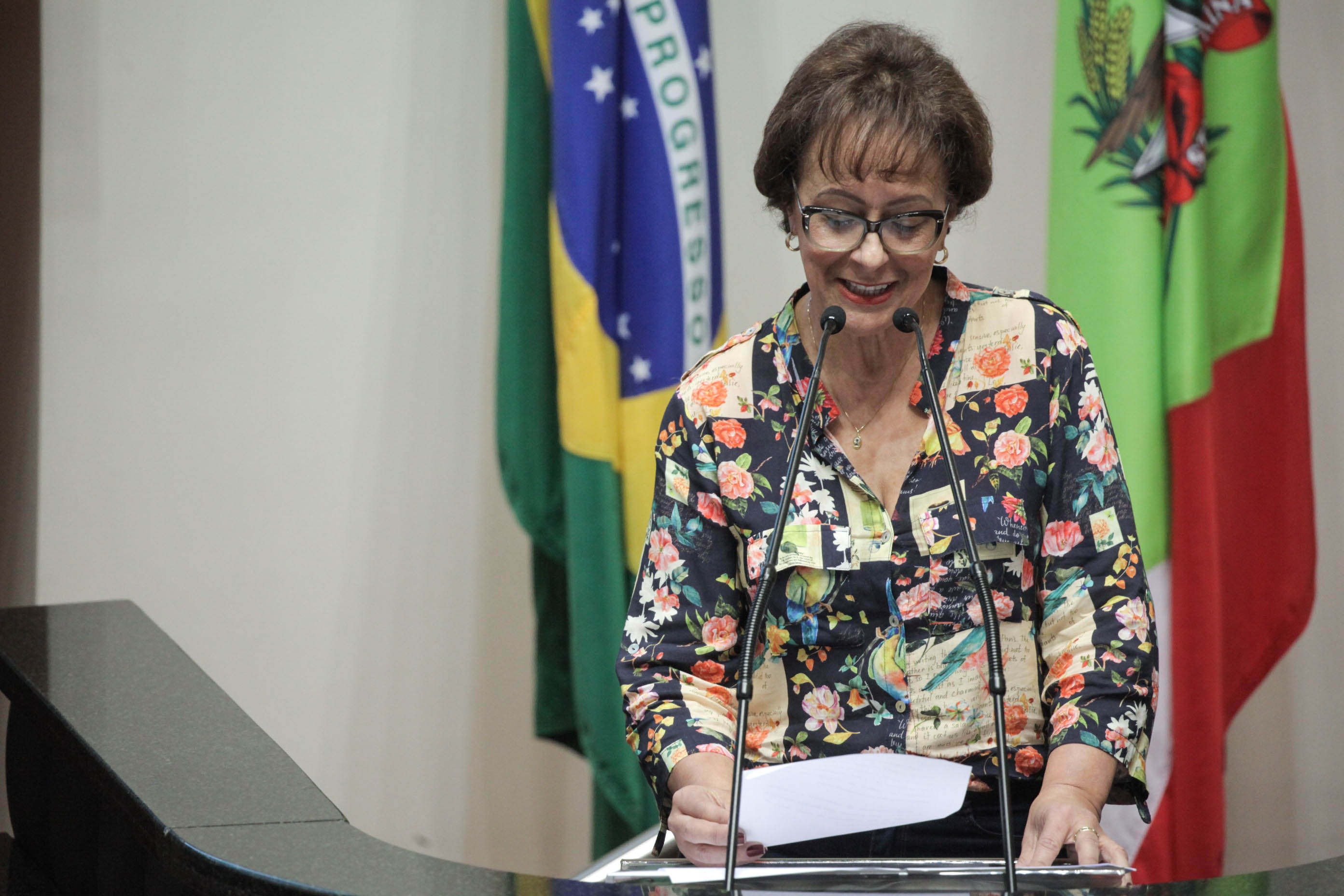 Deputada Dirce Heiderscheidt (PMDB). Sessão Ordinária.