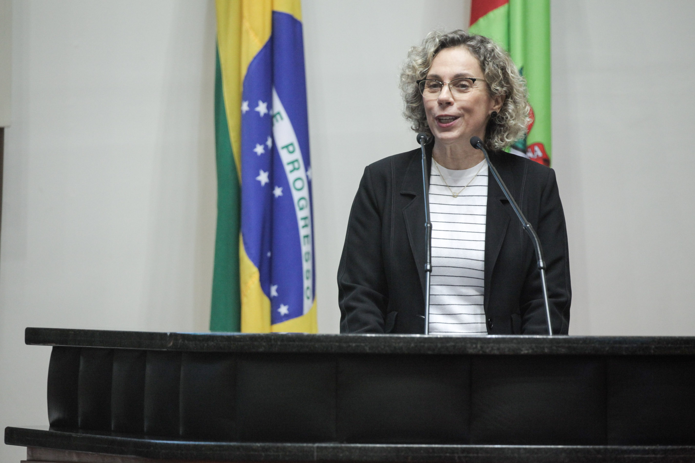 Deputada Ana Paula Lima (PT). Sessão Ordinária.