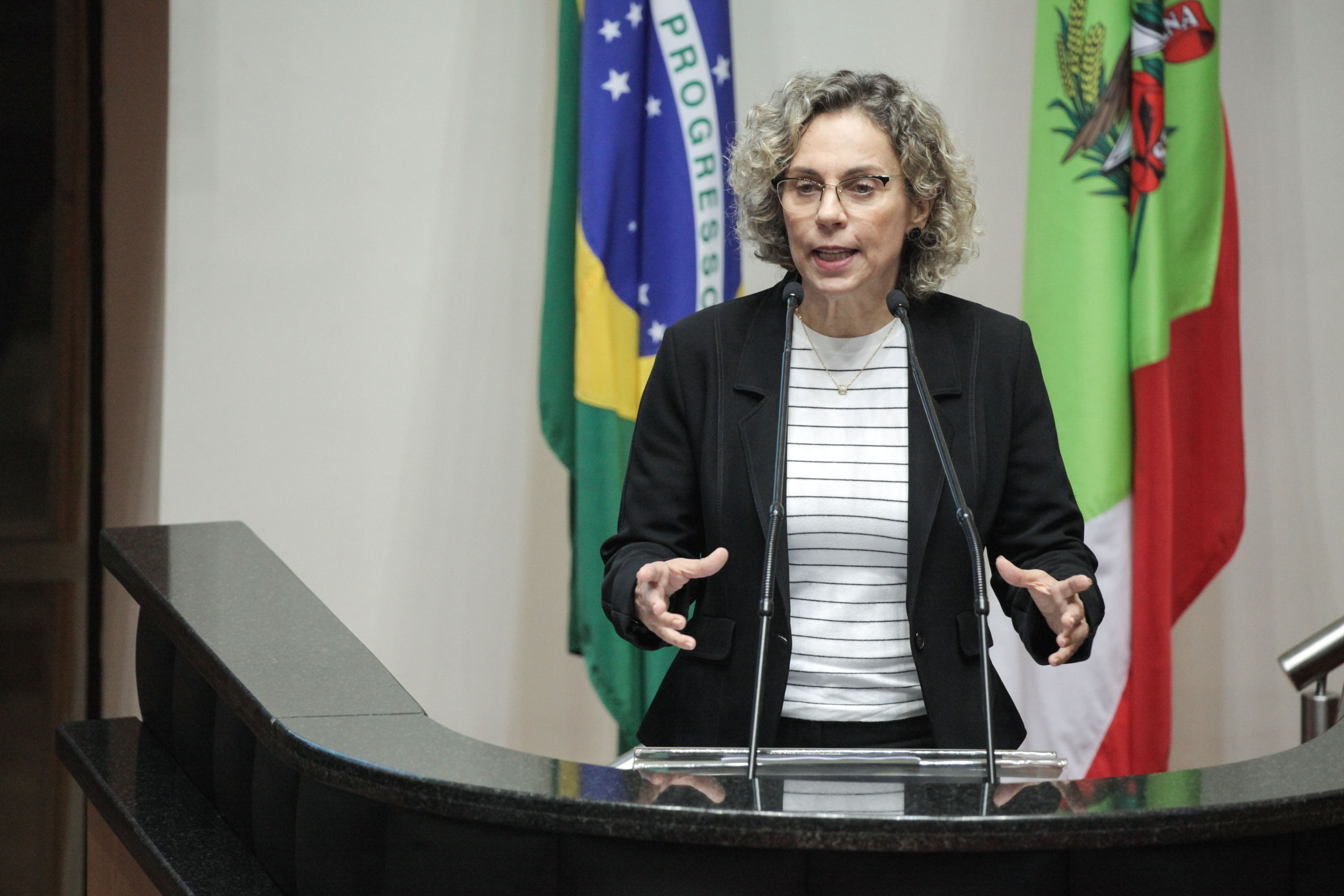 Deputada Ana Paula Lima (PT). Sessão Ordinária.