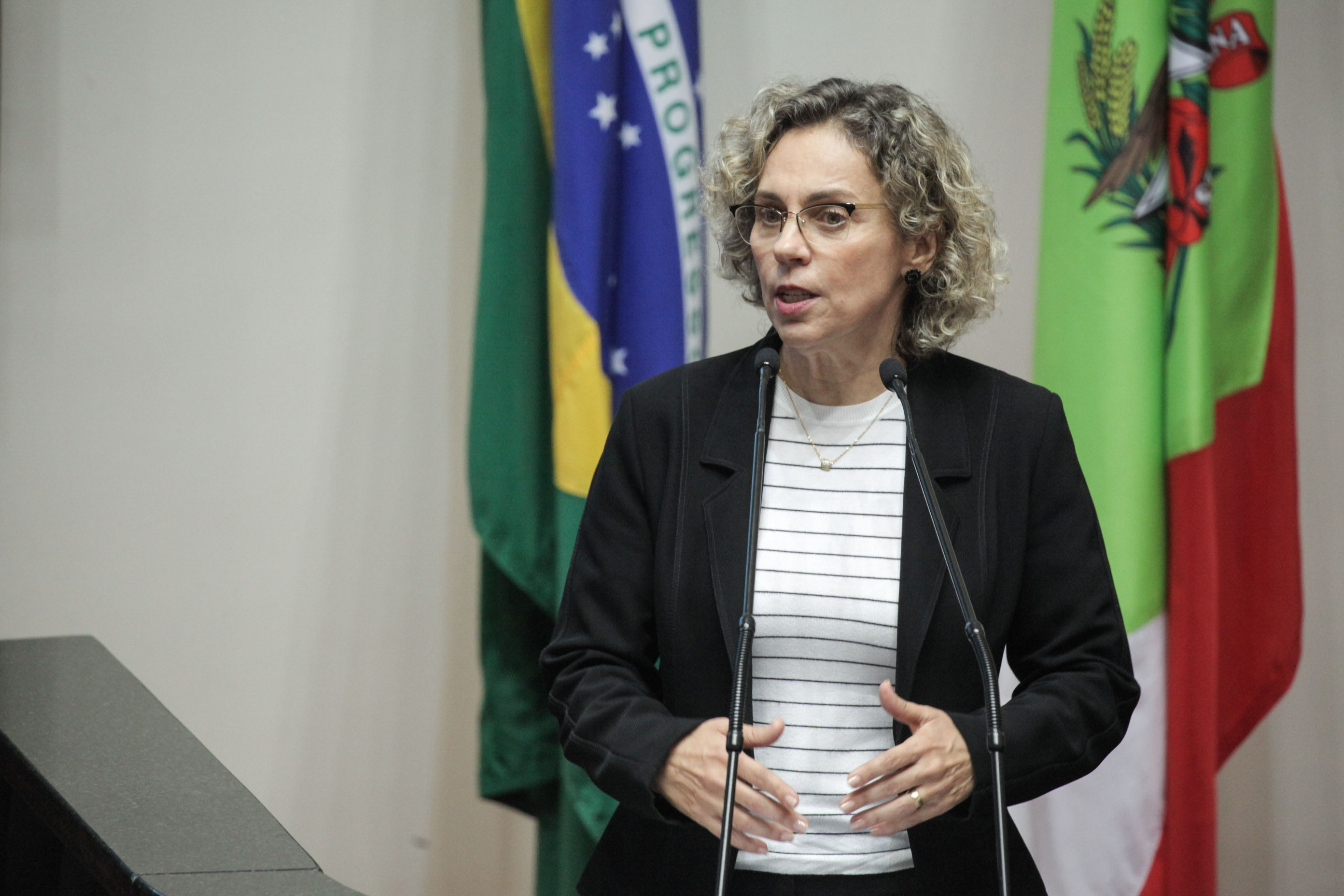 Deputada Ana Paula Lima (PT). Sessão Ordinária.