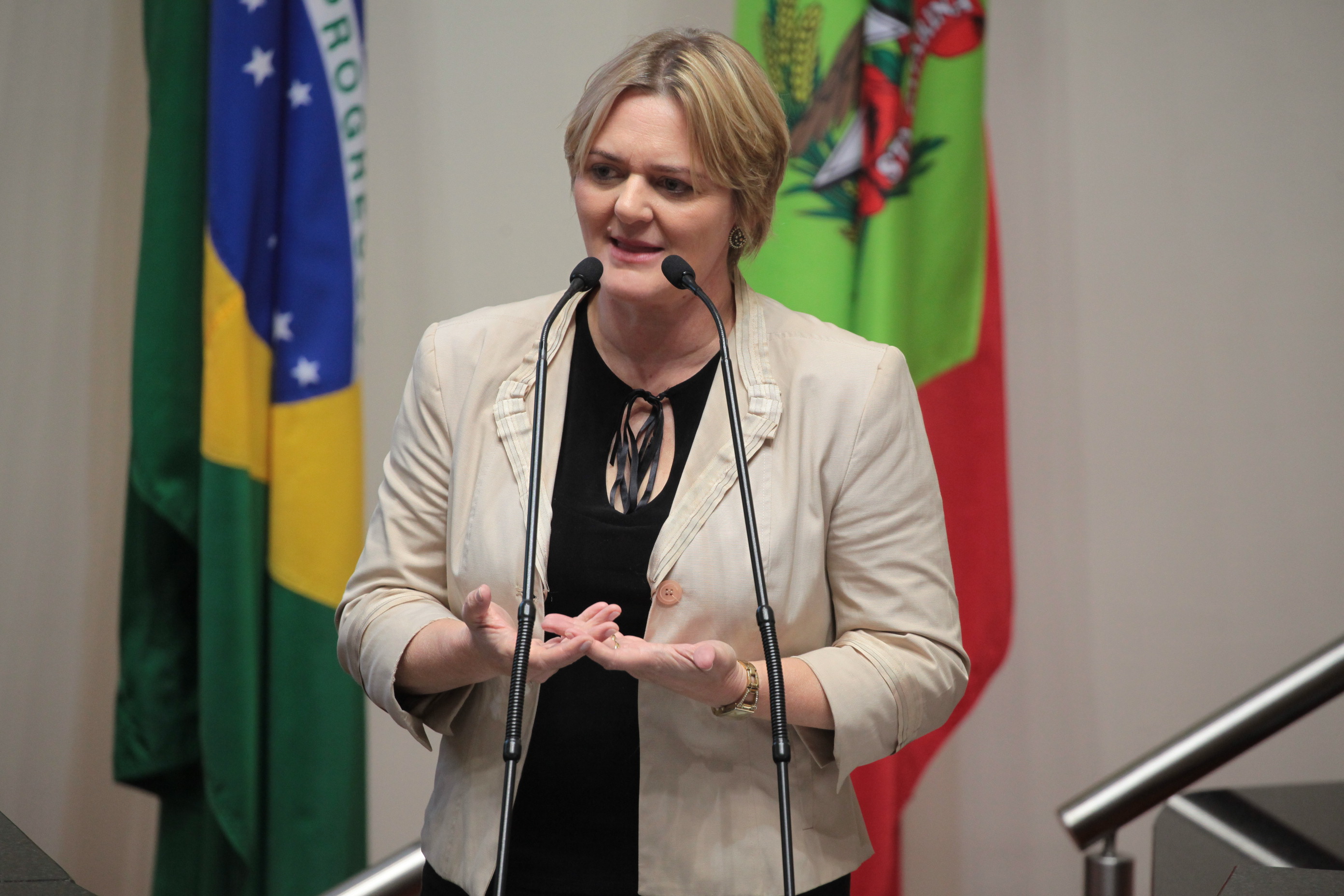 Deputada Luciane Carminatti (PT). Sessão Ordinária.