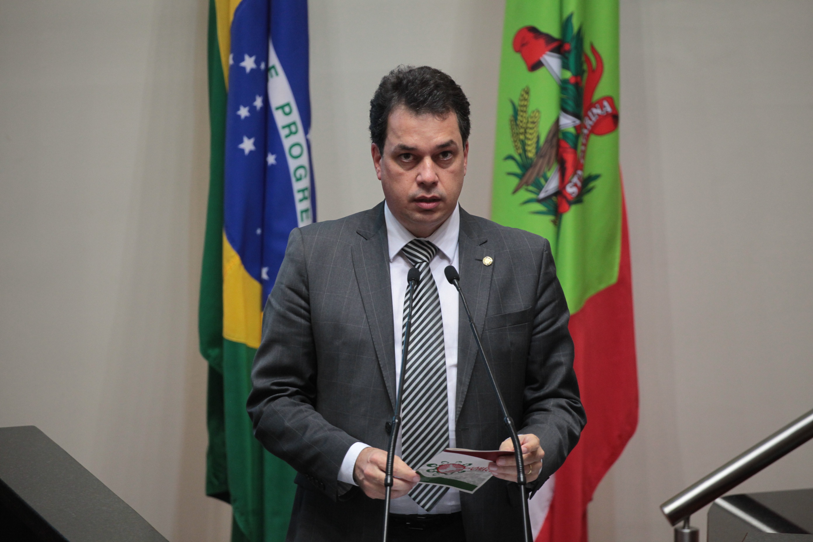 Deputado Rodrigo Minotto (PDT). Sessão Ordinária.