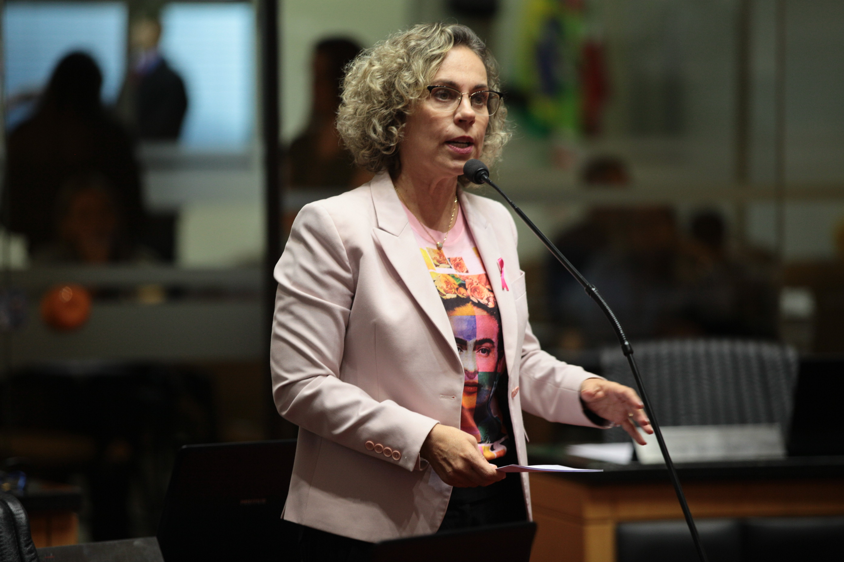 Deputada Ana Paula Lima (PT). Sessão Ordinária.