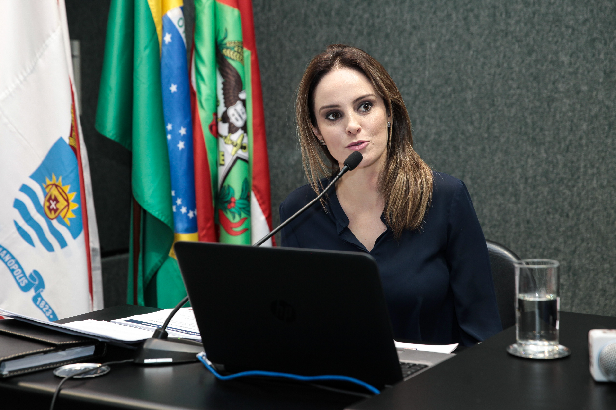 Audiência Pública Sobre o Cumprimento das Metas Fiscais.