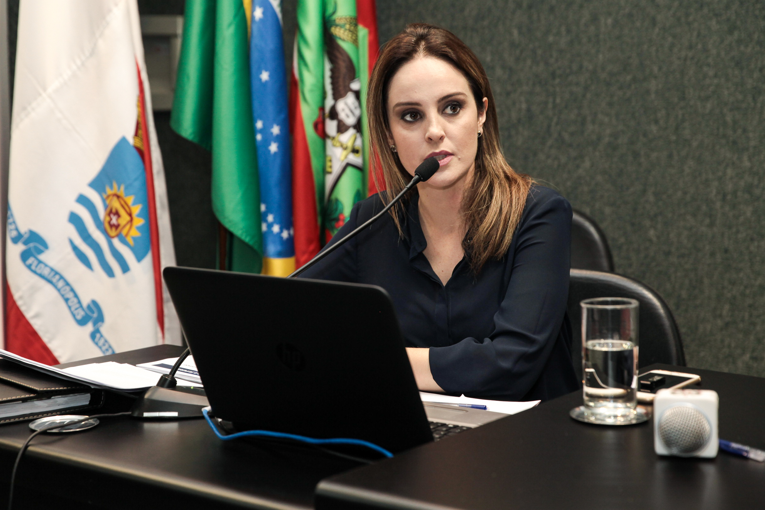 Audiência Pública Sobre o Cumprimento das Metas Fiscais.