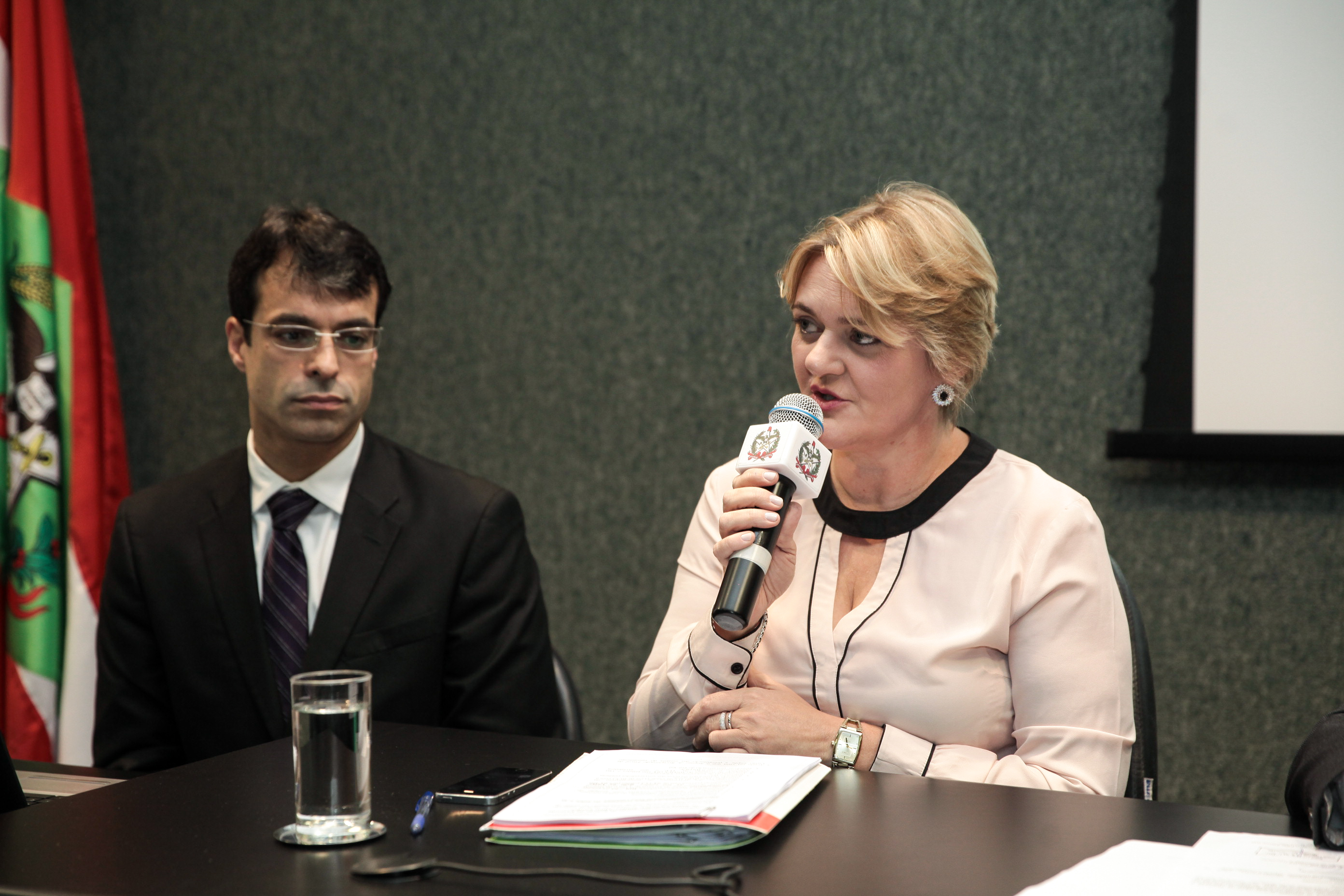 Deputada Luciane Carminatti (PT). Audiência Pública Sobre o Cumprimento das Metas Fiscais.