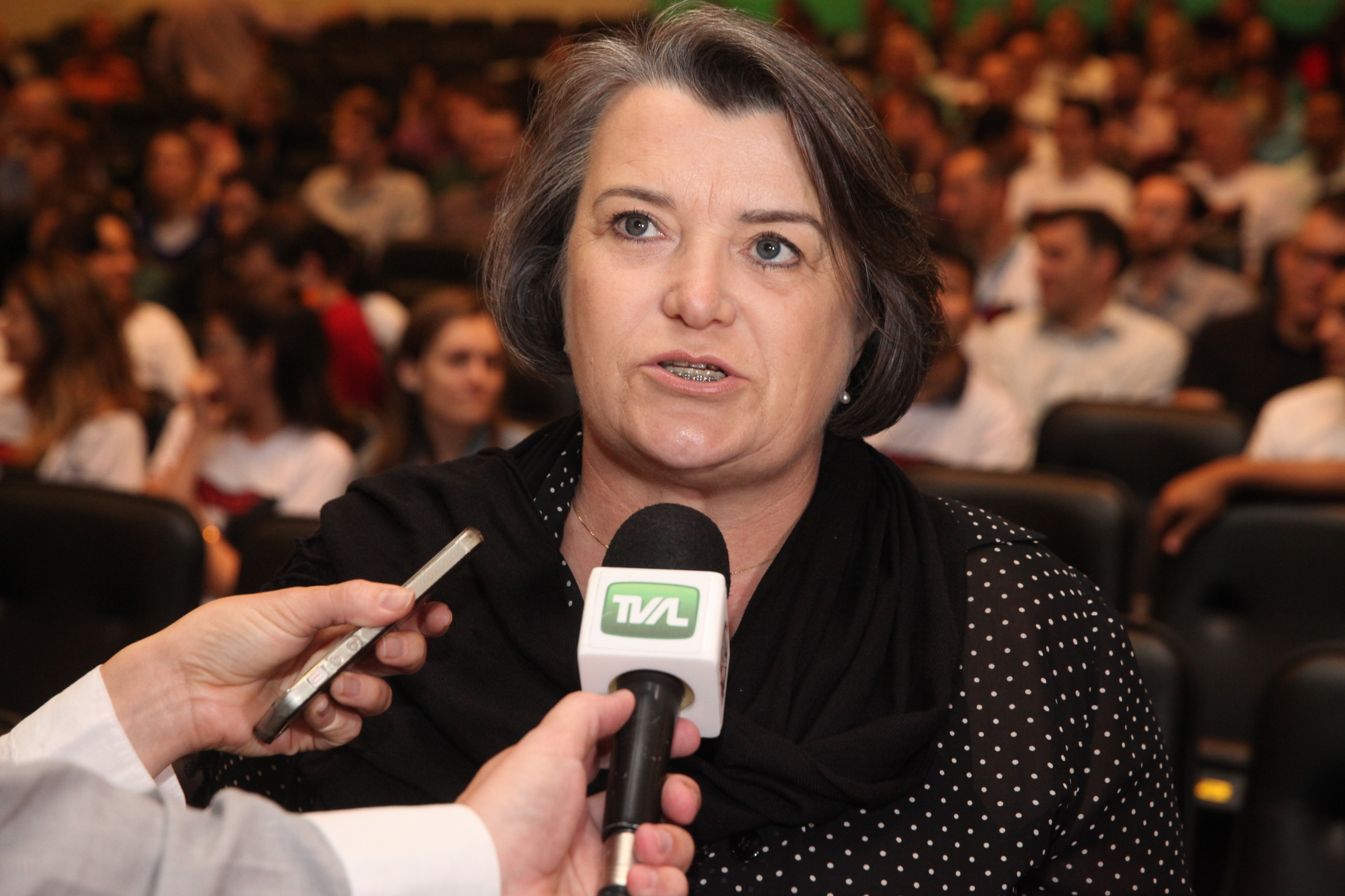 Audiência Pública para Discutir a Privatização do Sistema Elétrico