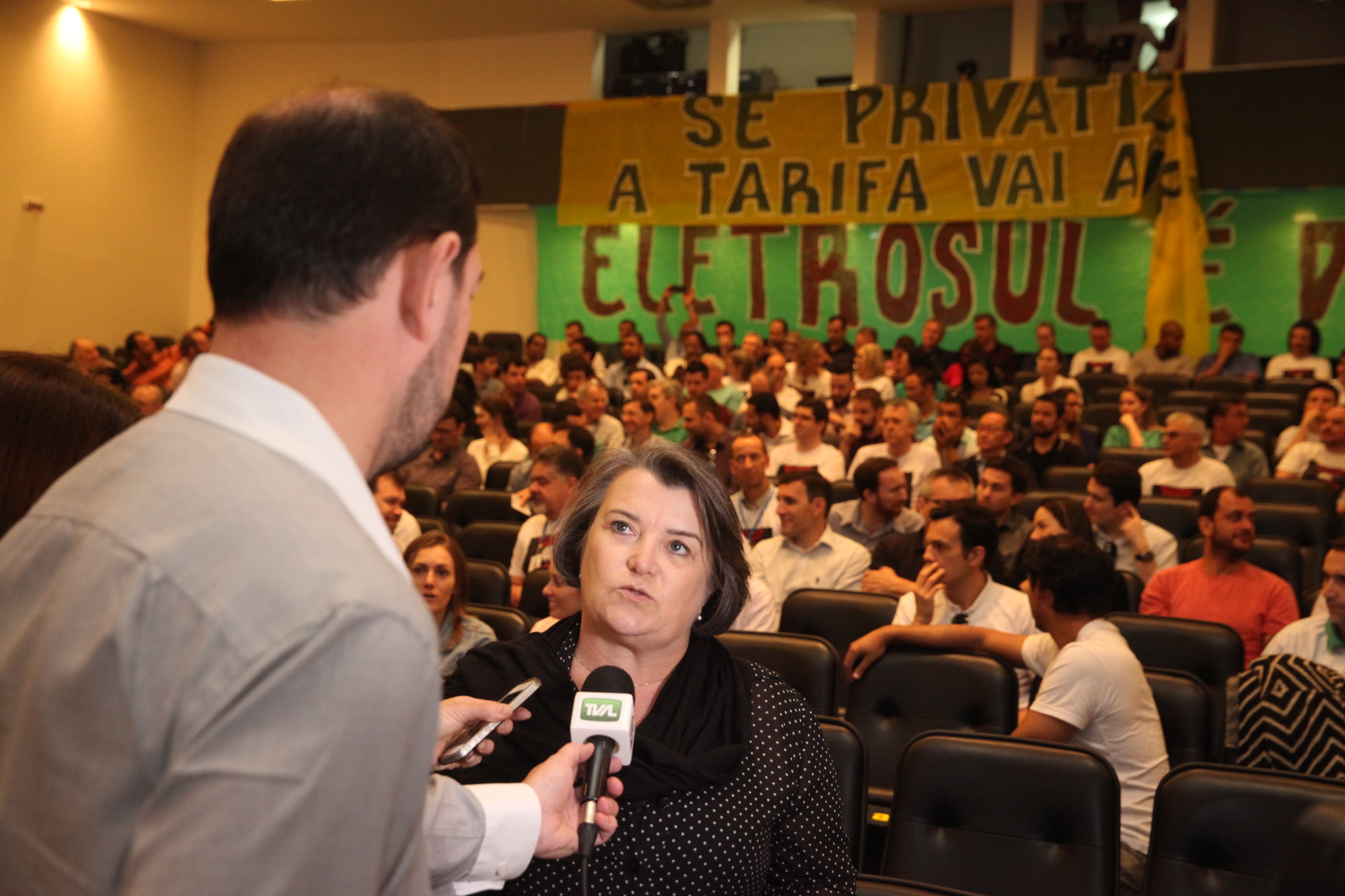 Audiência Pública para Discutir a Privatização do Sistema Elétrico.