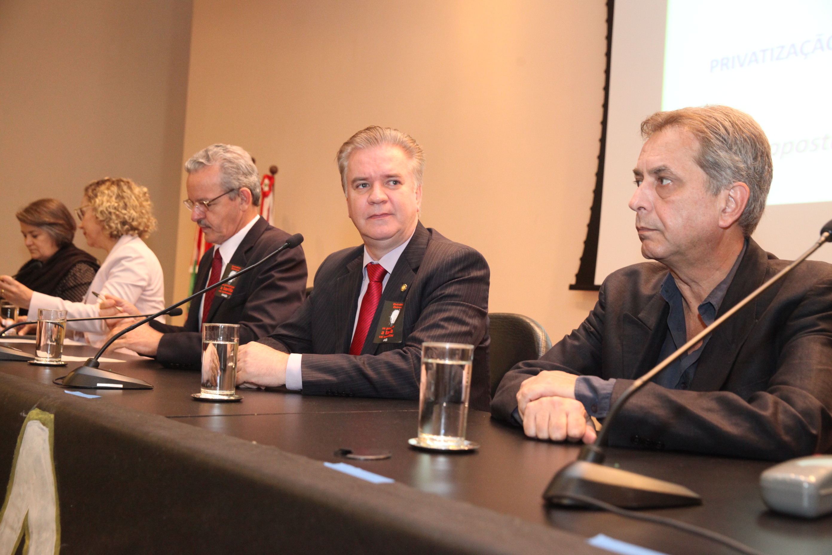 Audiência Pública para Discutir a Privatização do Sistema Elétrico.