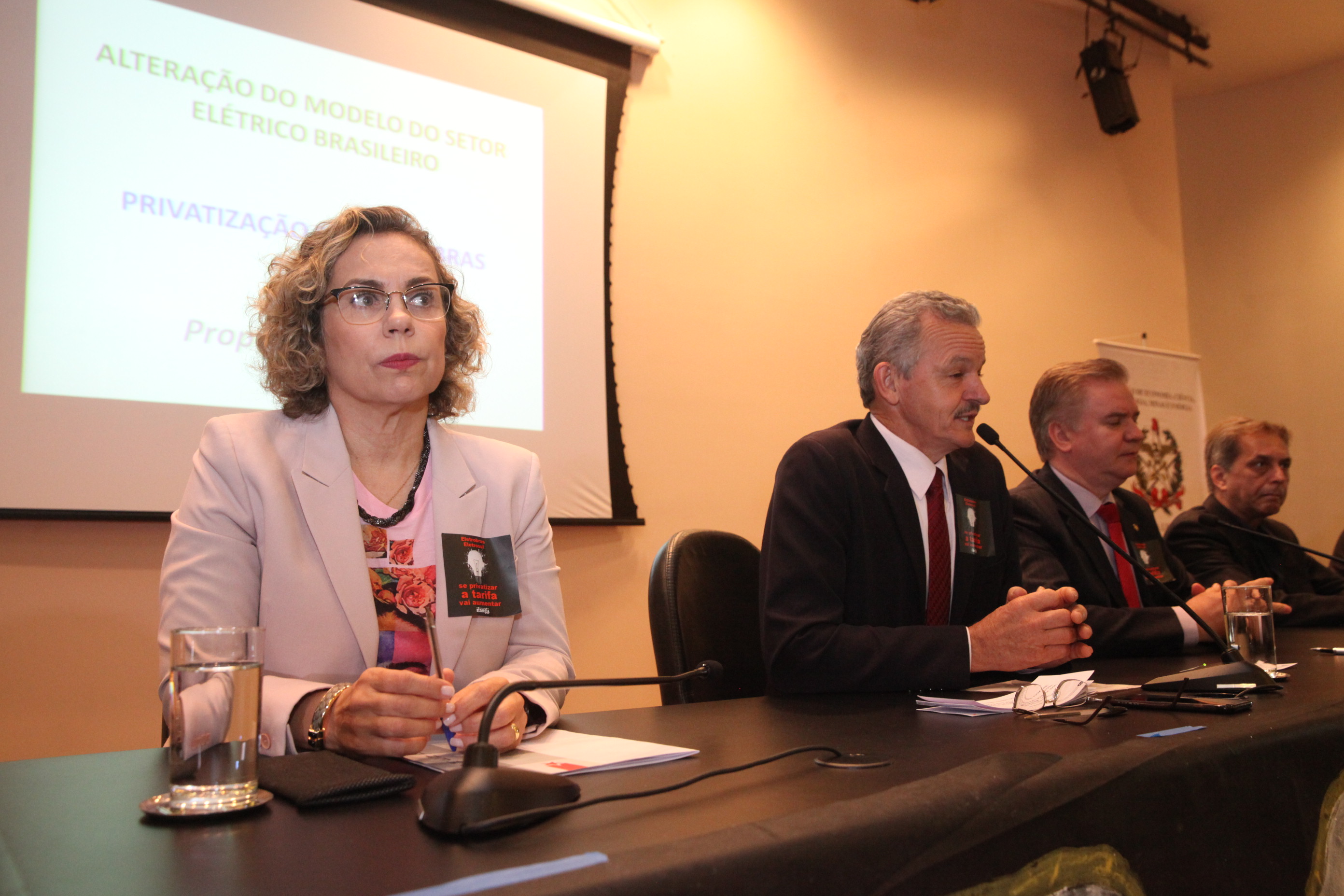Audiência Pública para Discutir a Privatização do Sistema Elétrico.