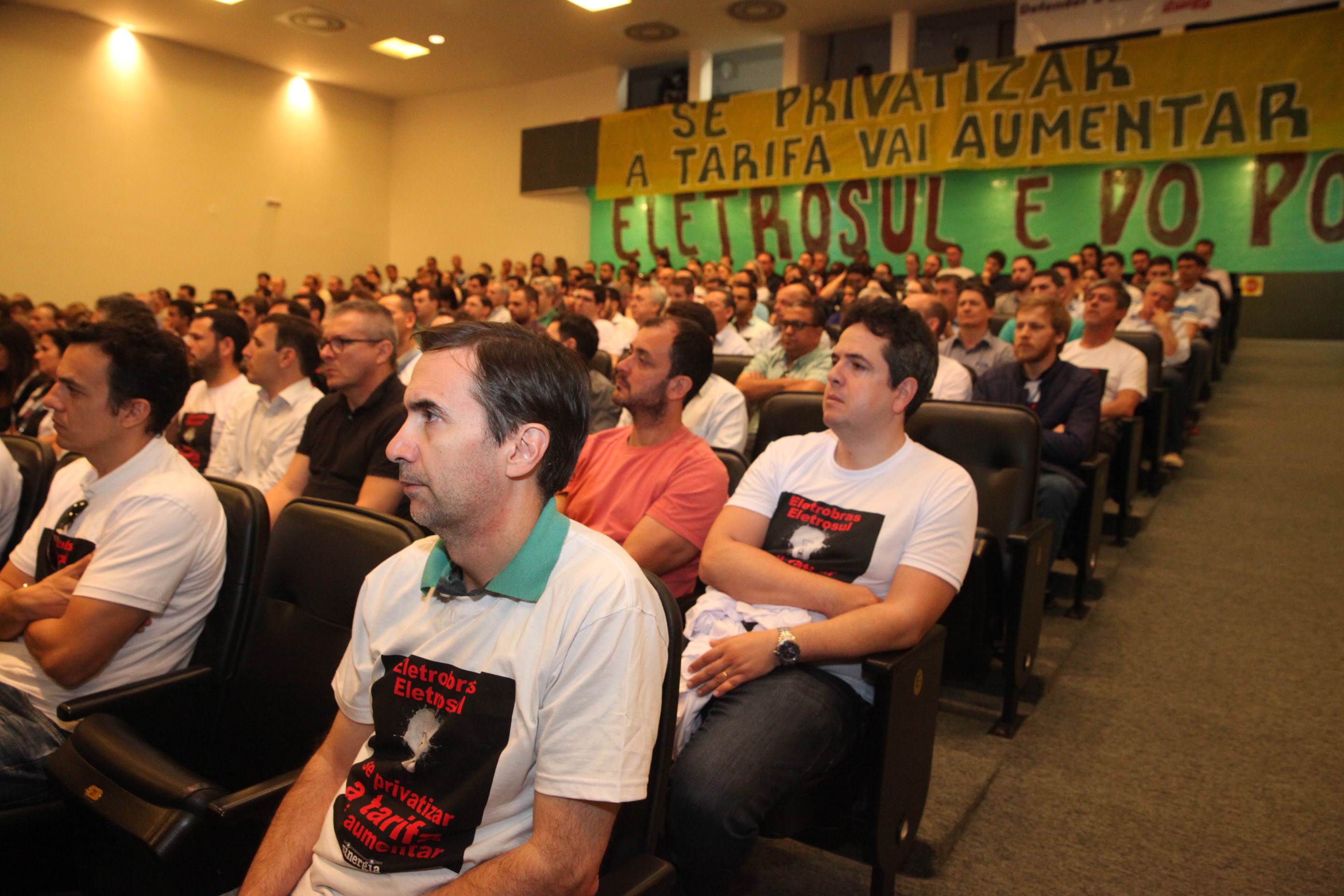 Audiência Pública para Discutir a Privatização do Sistema Elétrico.