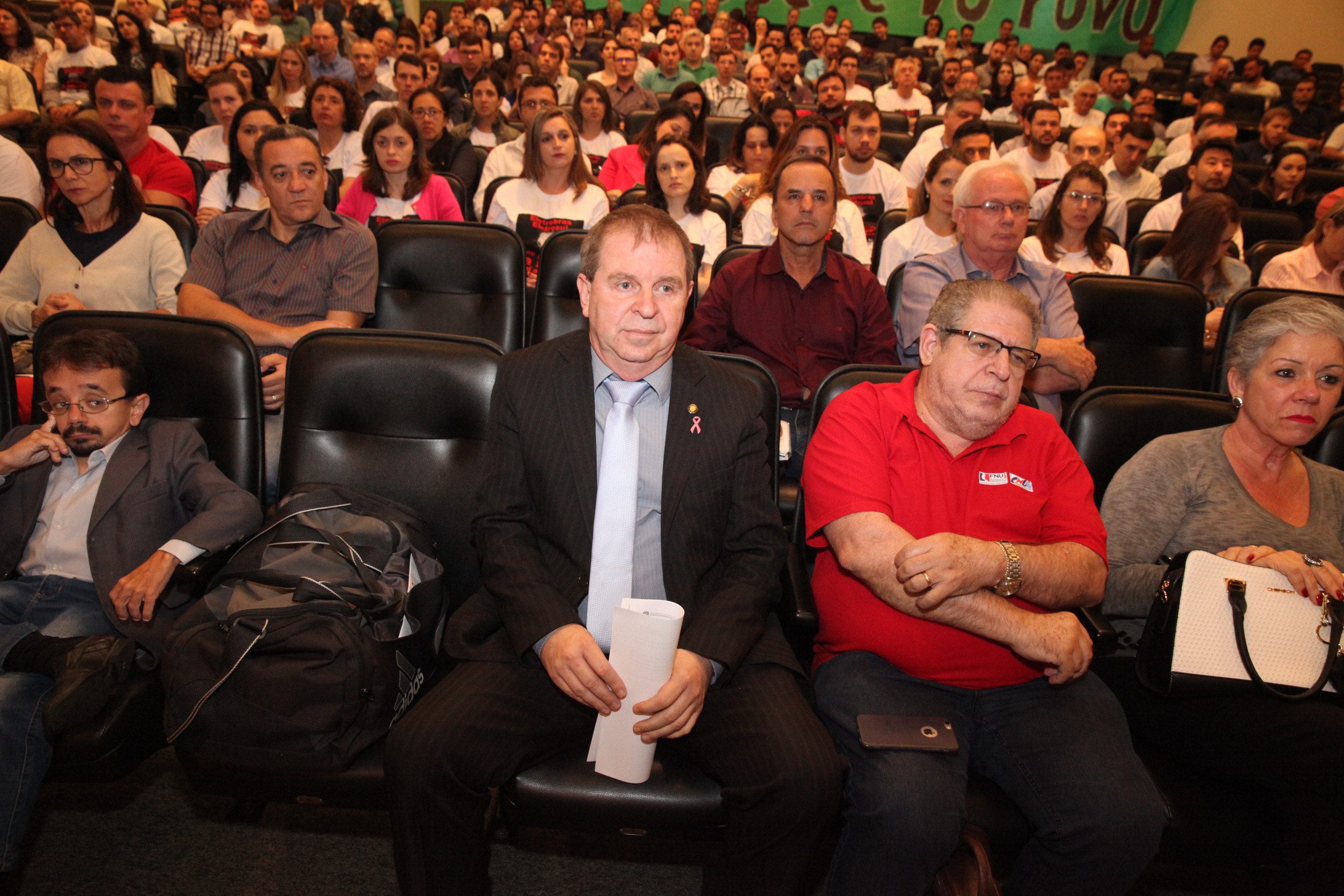 Audiência Pública para Discutir a Privatização do Sistema Elétrico.