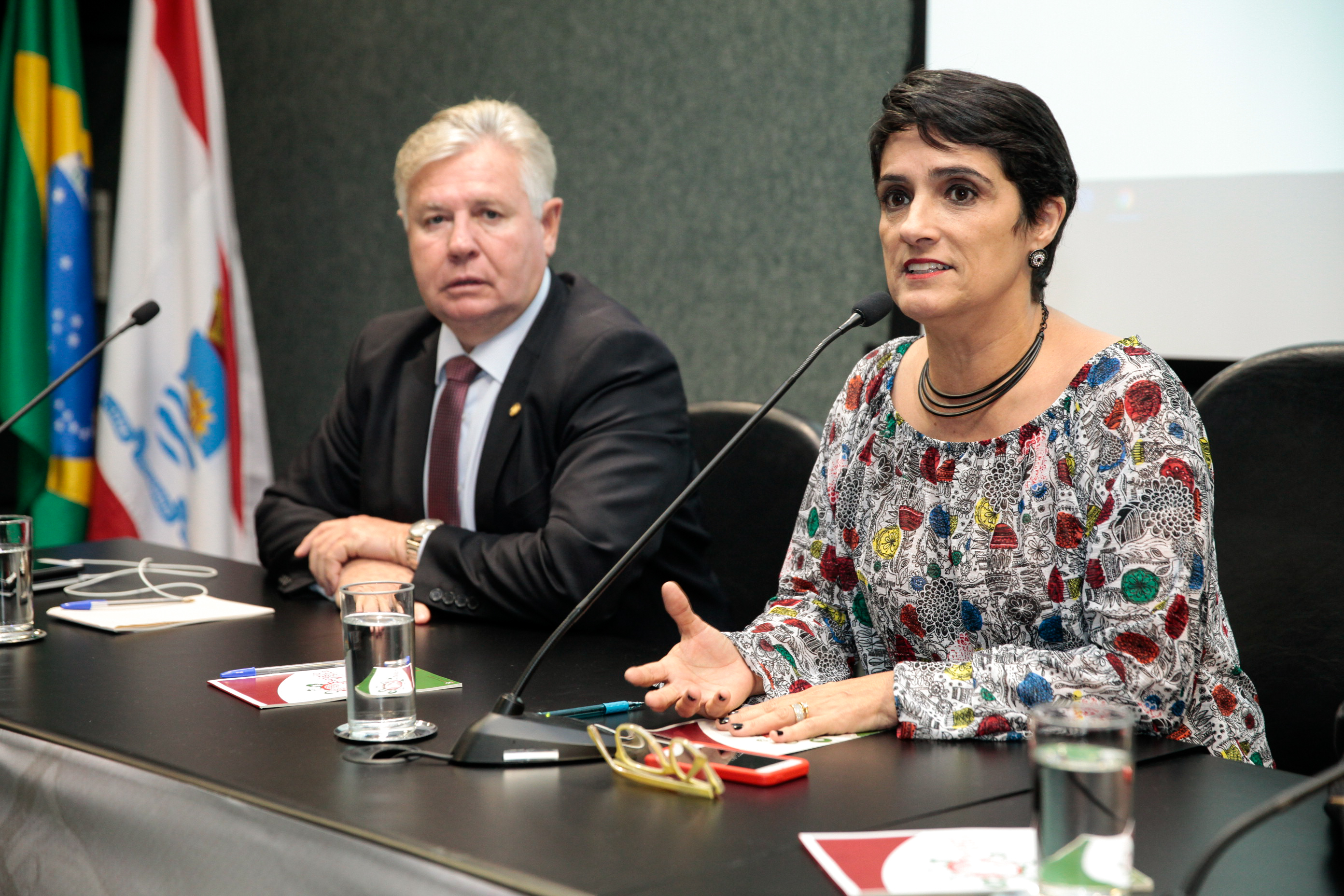 Mesa Redonda com Deputados Estaduais - Estágio Visita.