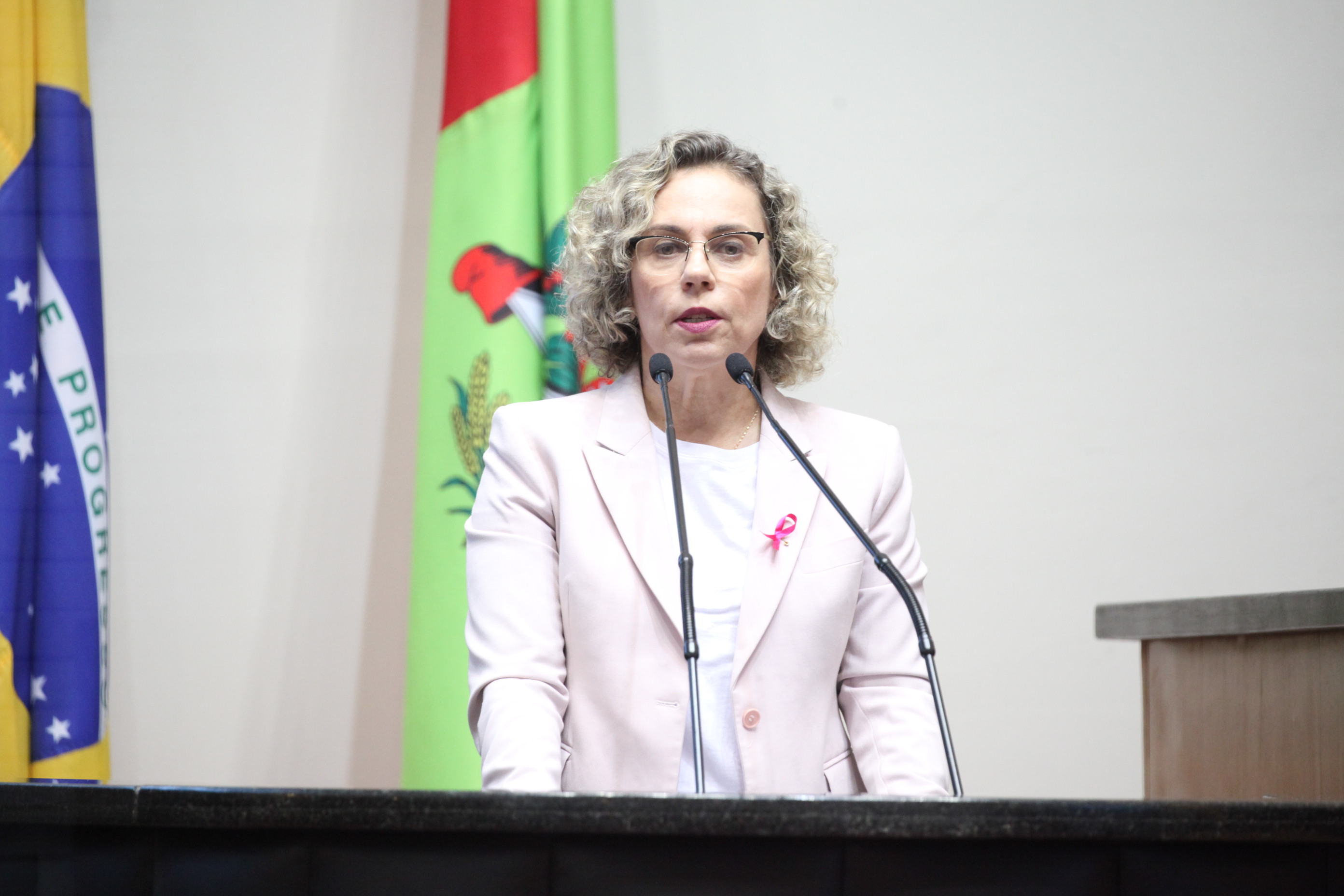 Deputada Ana Paula Lima (PT