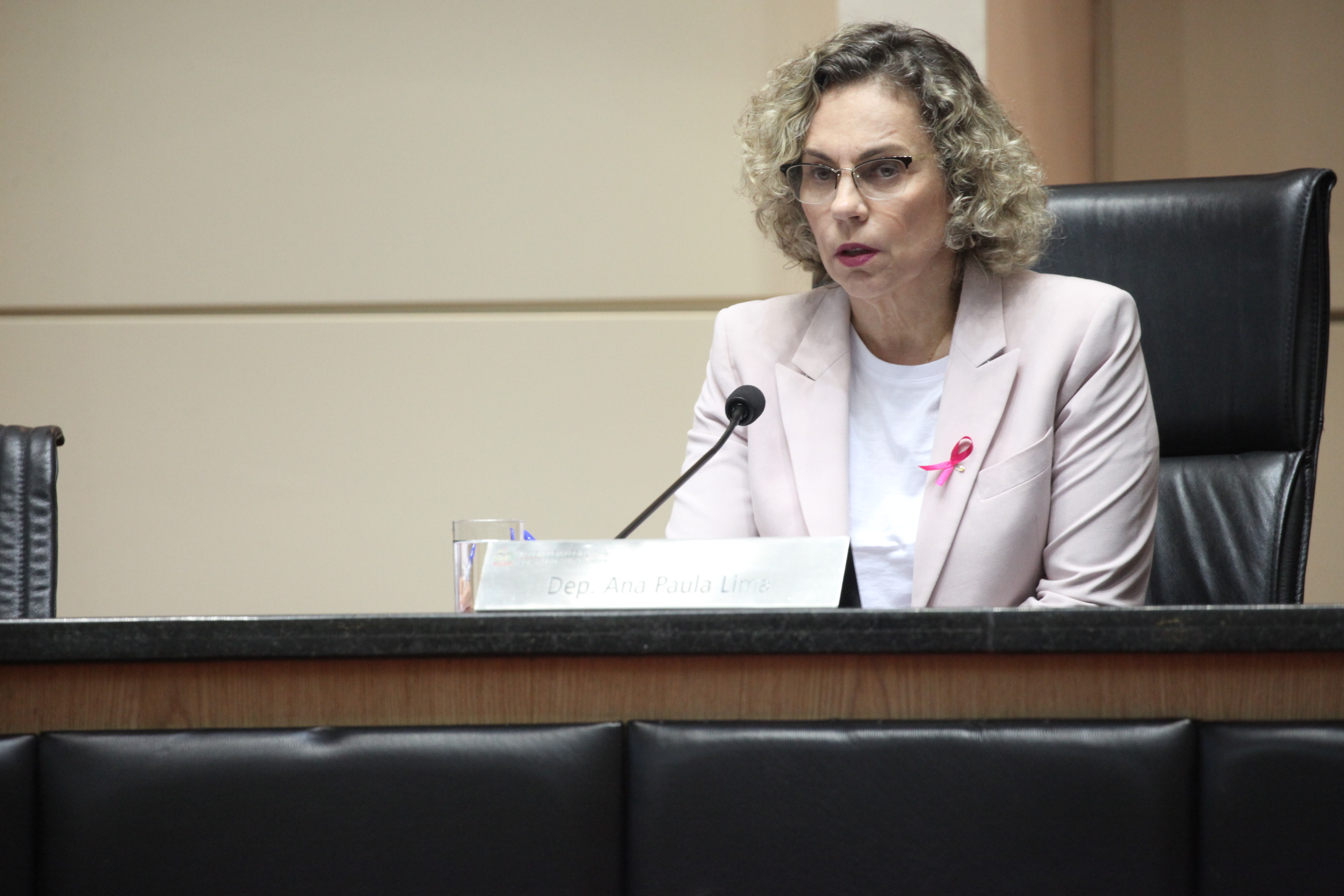 Deputada Ana Paula Lima (PT