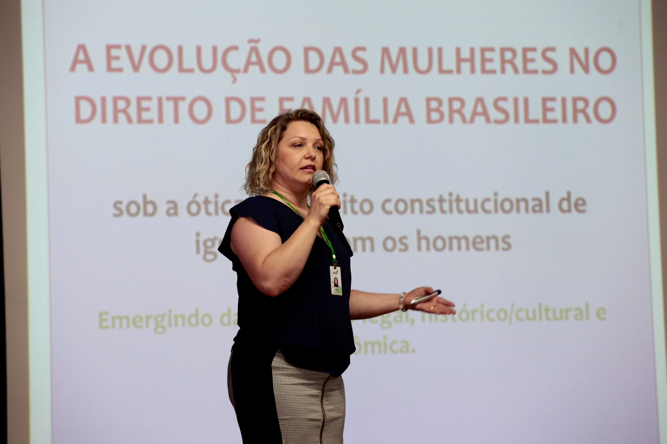 Seminário Regional pelo Fim da Violência Doméstica contra a Mulher - Orleans.