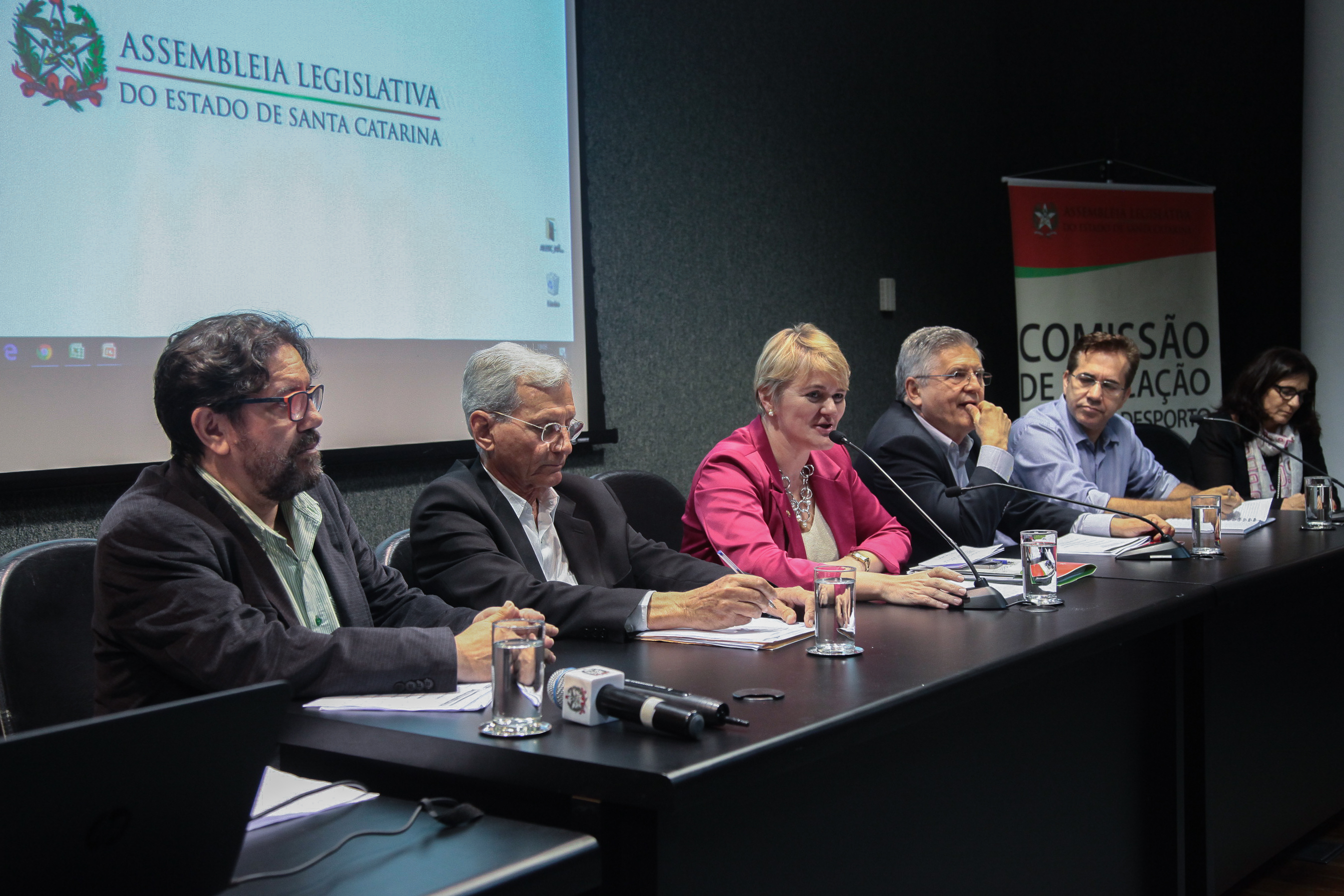Audiência Pública  sobre o Financiamento da Arte e da Cultura em Santa Catarina.