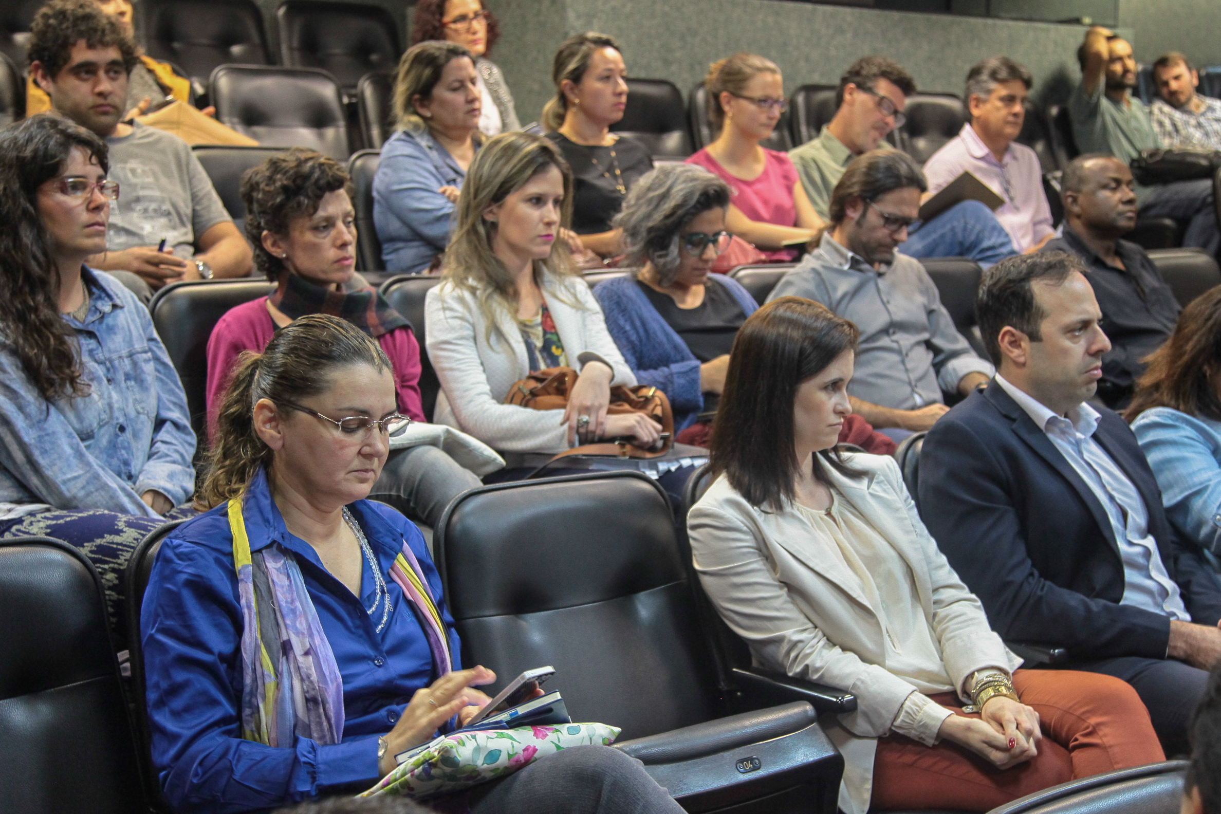 Audiência Pública  sobre o Financiamento da Arte e da Cultura em Santa Catarina.