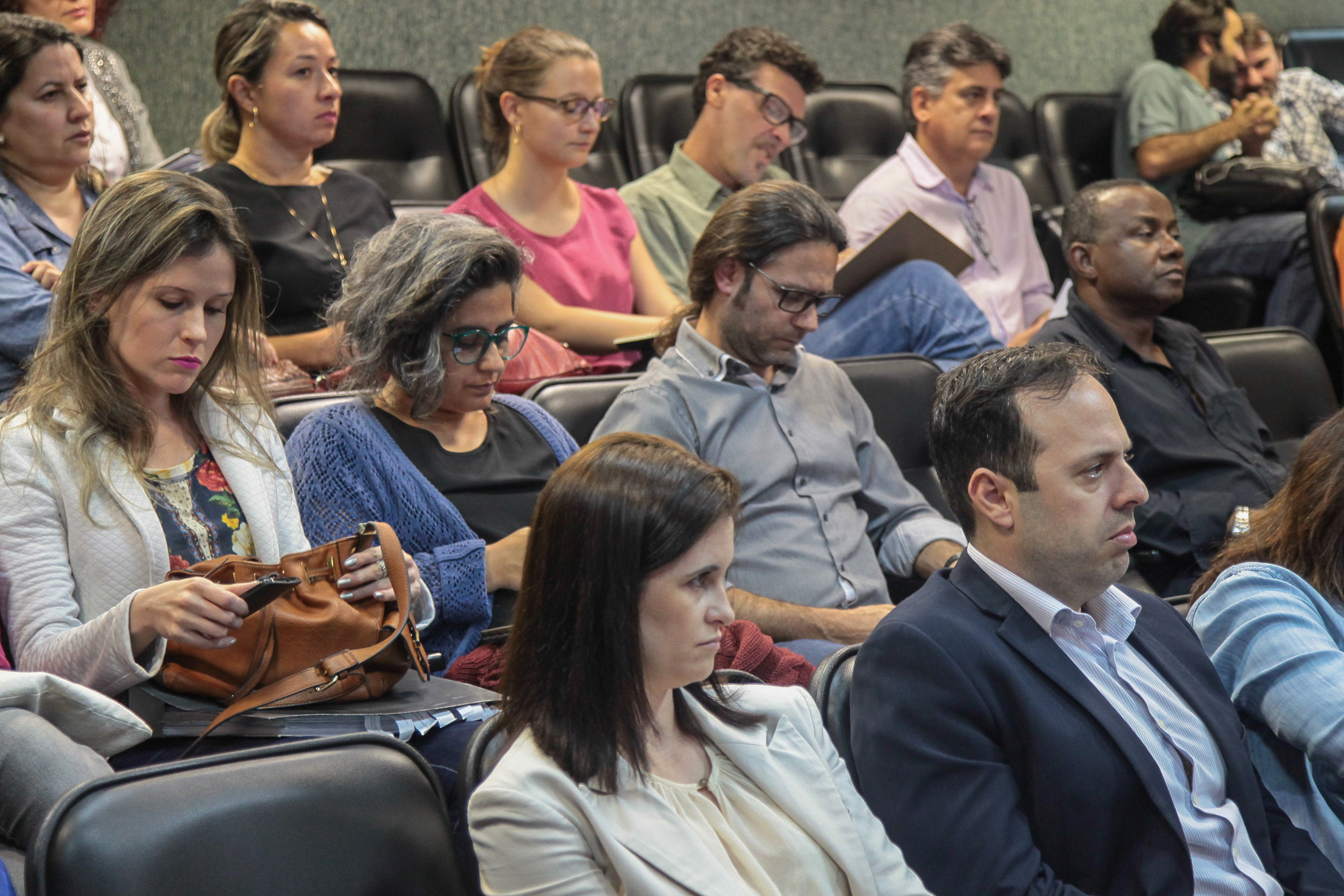 Audiência Pública  sobre o Financiamento da Arte e da Cultura em Santa Catarina.