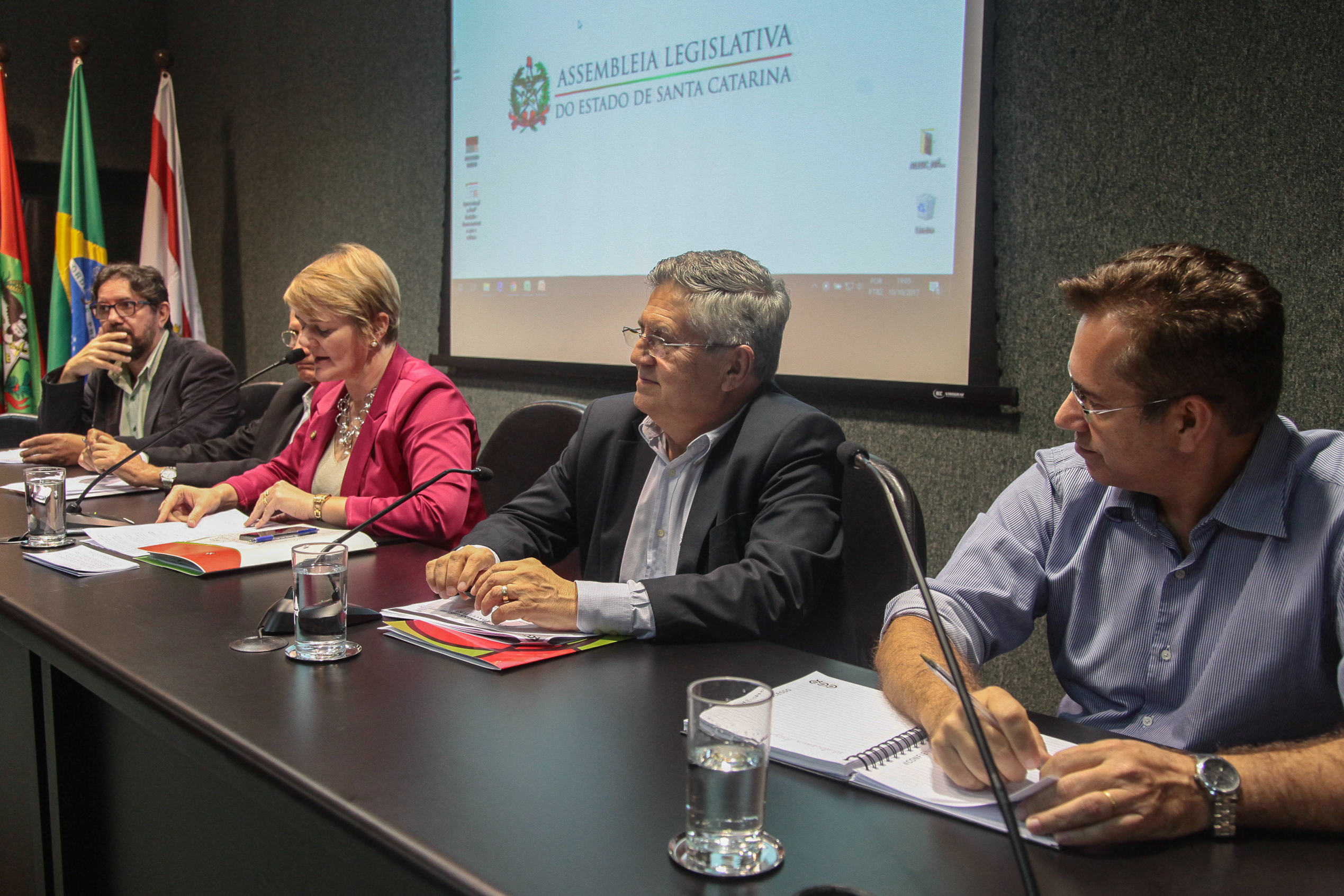 Audiência Pública  sobre o Financiamento da Arte e da Cultura em Santa Catarina.