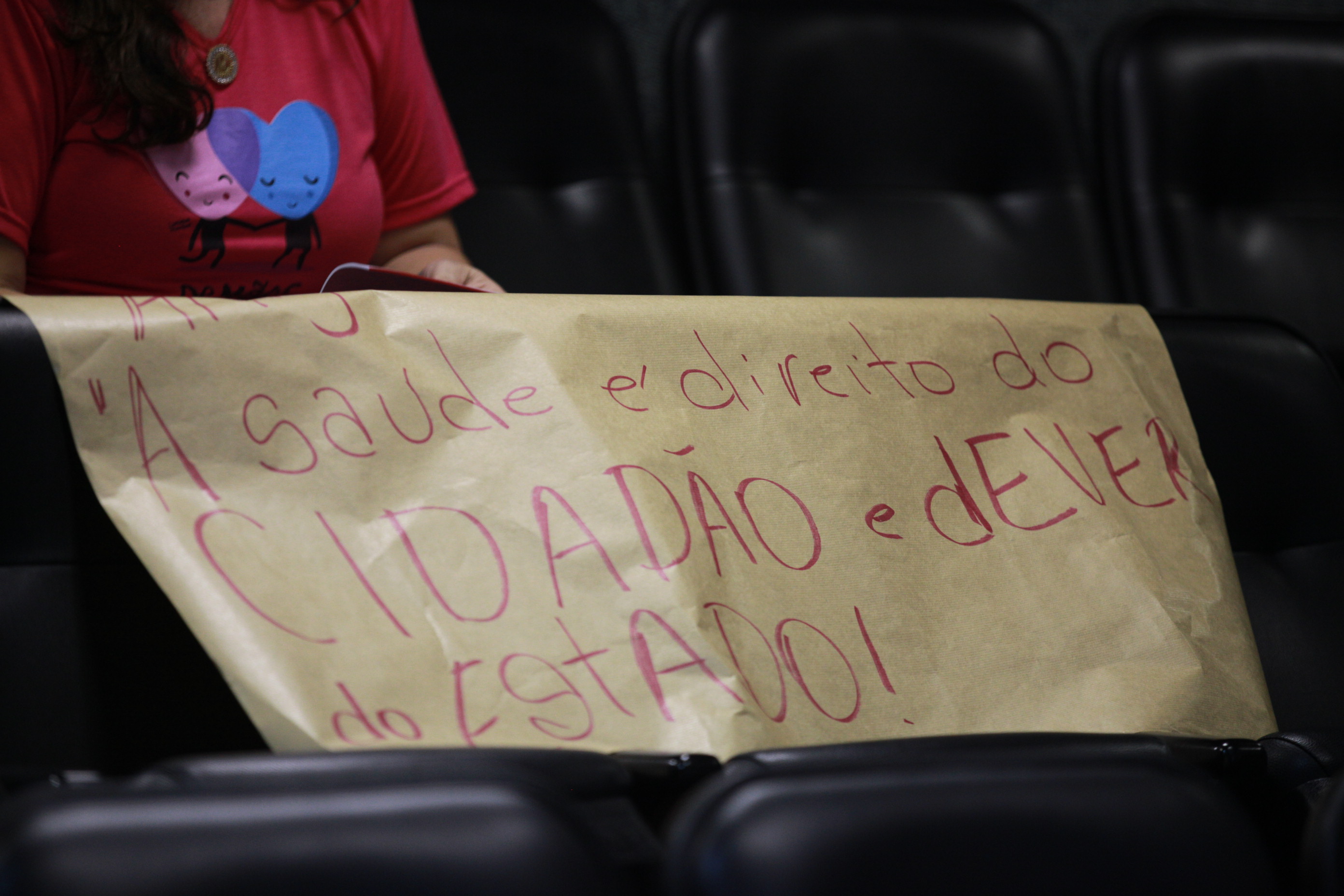 Audiência Pública - Prestação de contas pelo Secretário de Estado da Saúde
