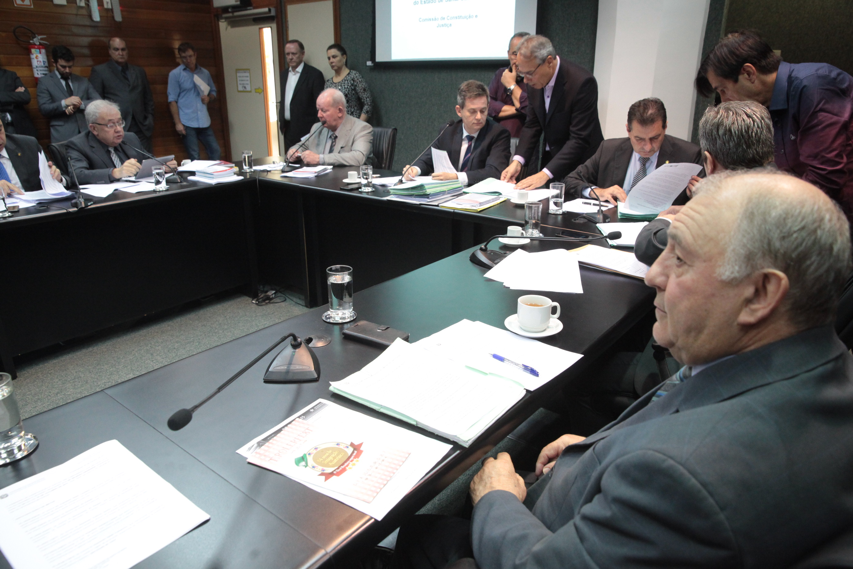 Comissão de Constituição e Justiça