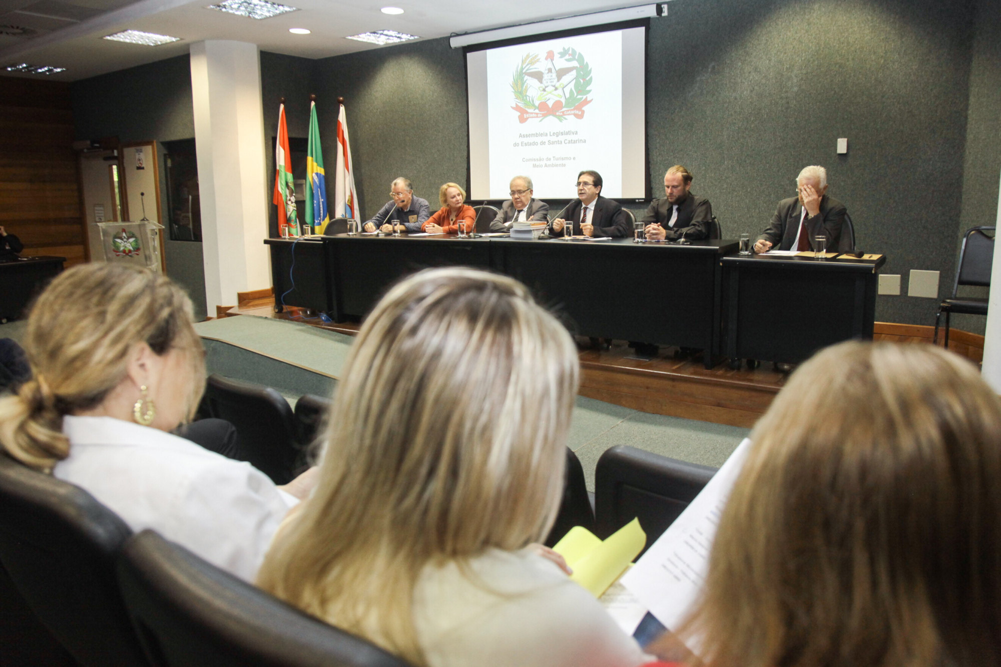 Audiência debate PL que reconhece cães e gatos como seres com sentimentos