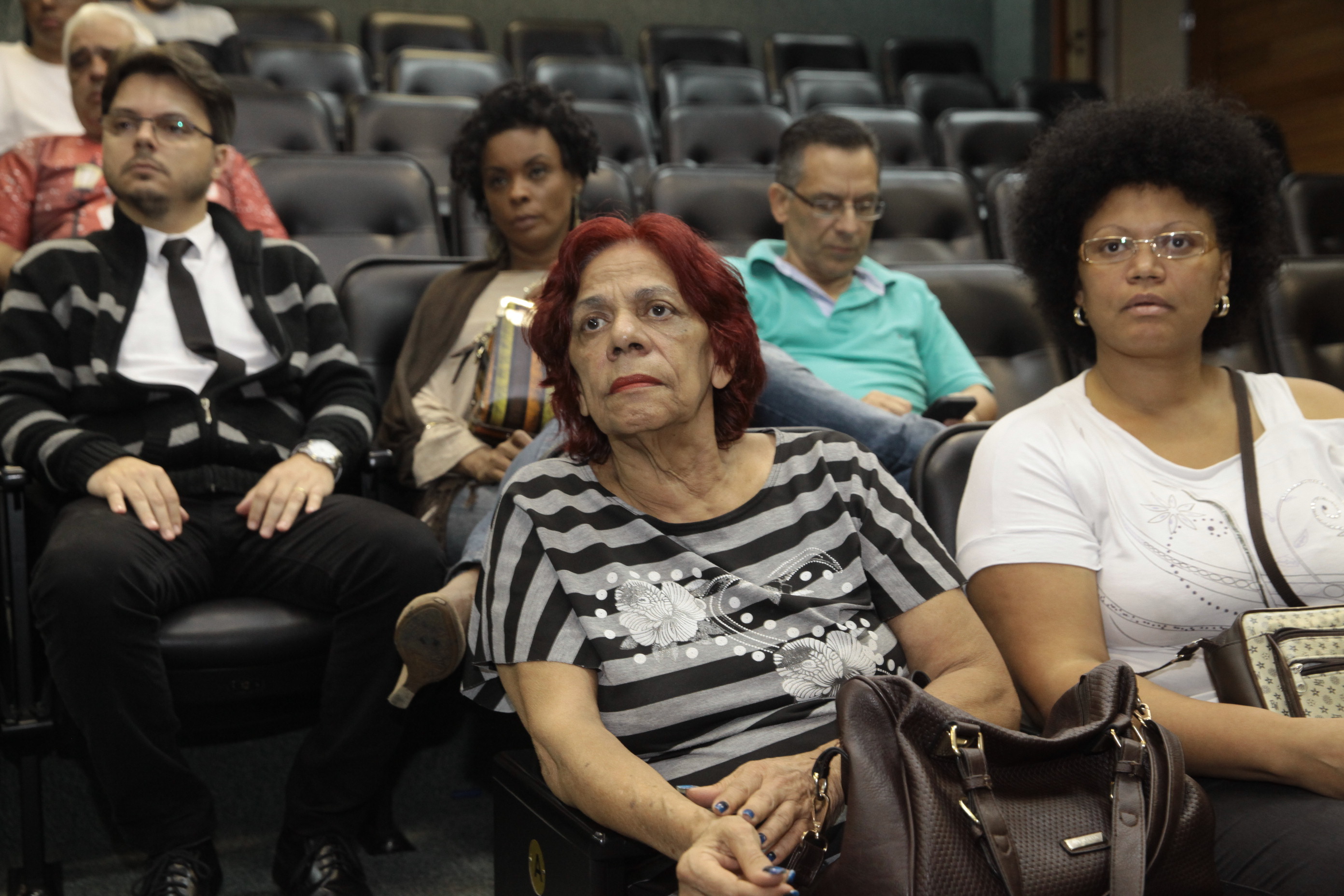 Audiência Pública para Discutir o Financiamento Público do Carnaval de SC.