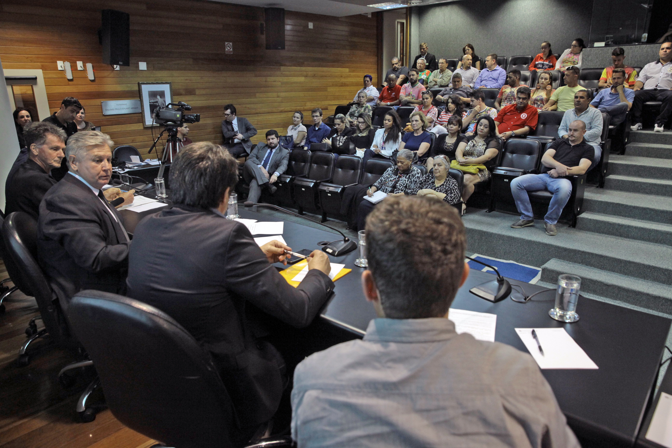 Audiência Pública para Discutir o Financiamento Público do Carnaval de SC.