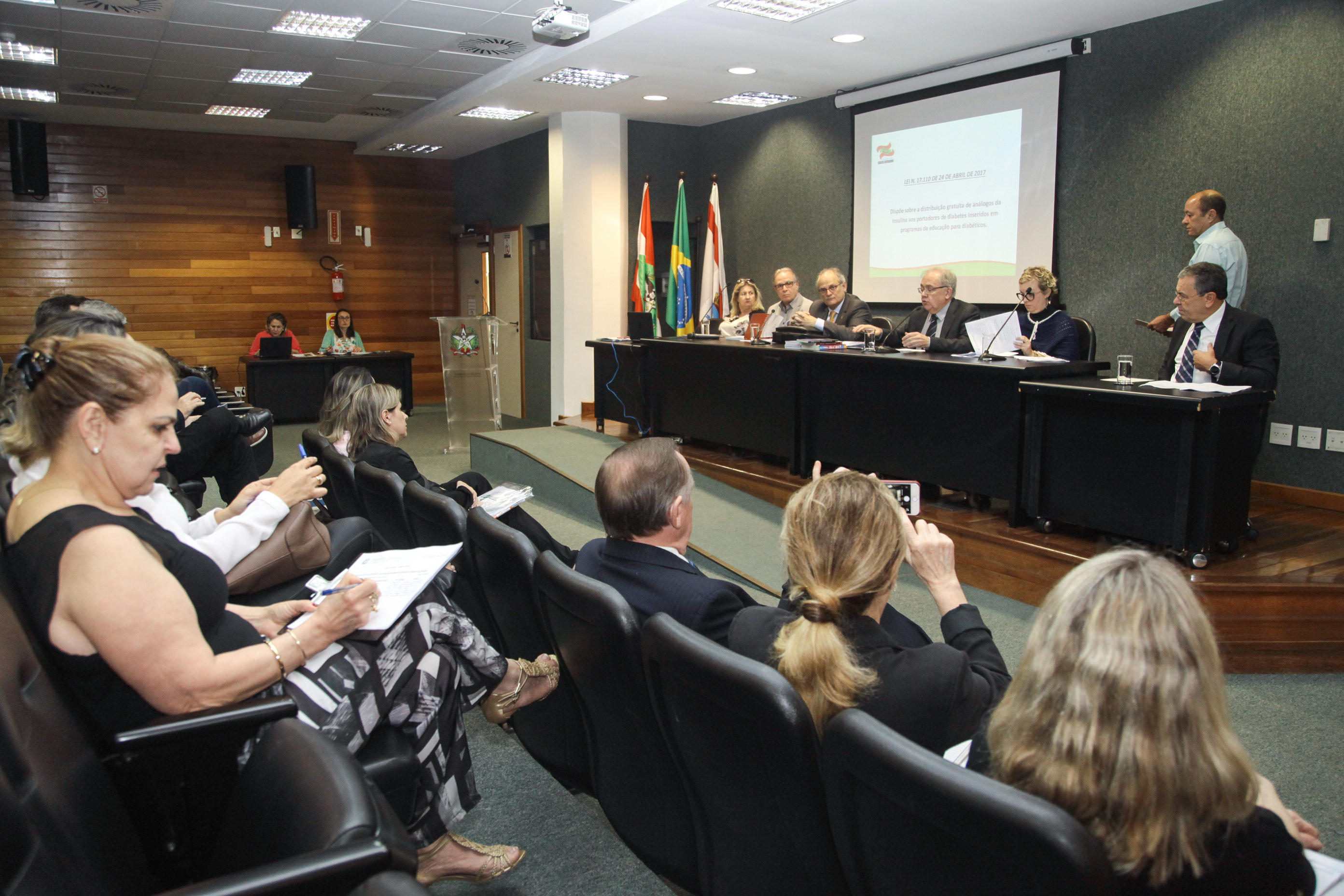 Audiência Pública Sobre a Distribuição Gratuita de Análogos de Insulina