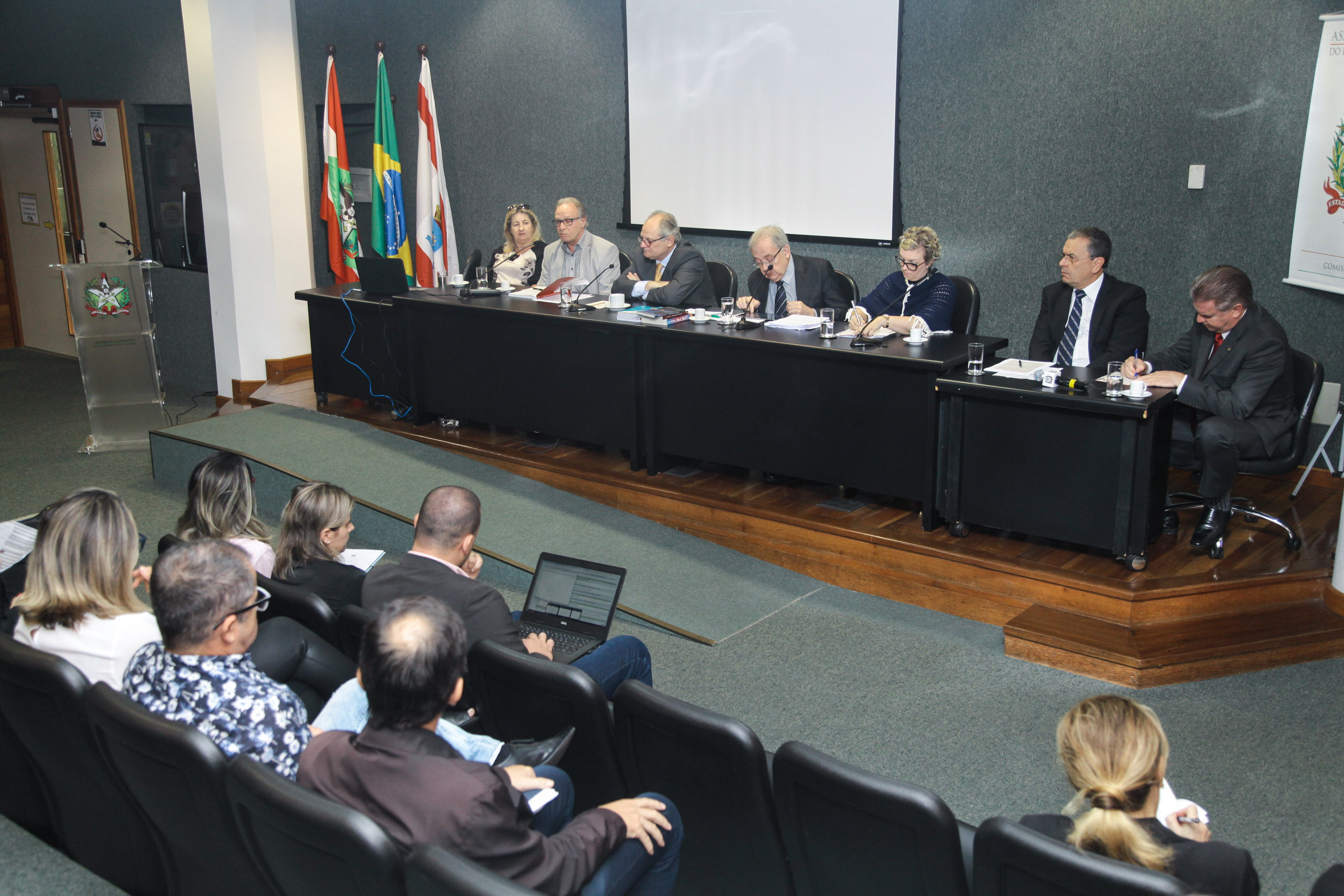 Audiência Pública Sobre a Distribuição Gratuita de Análogos de Insulina.