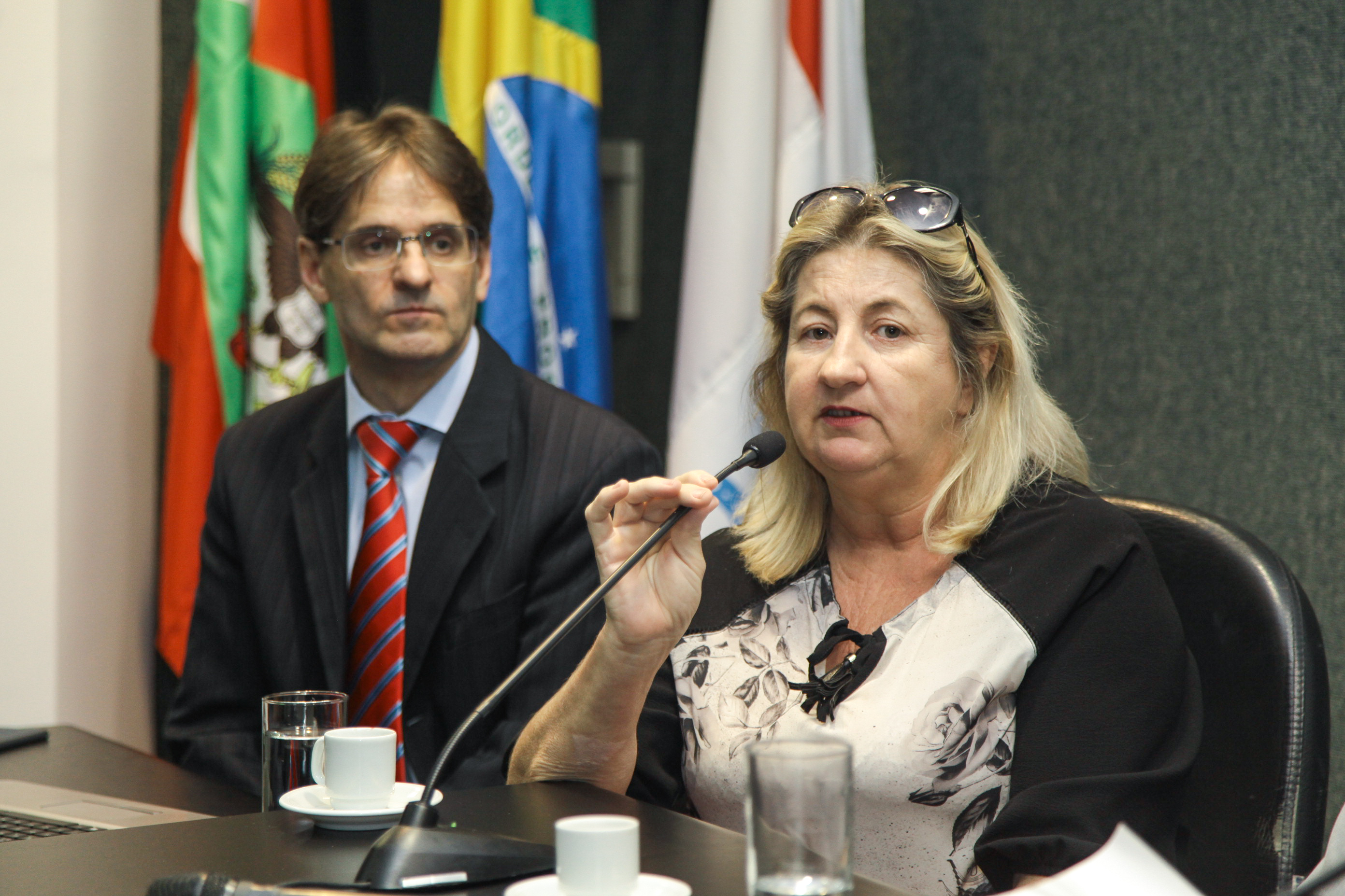 Audiência Pública Sobre a Distribuição Gratuita de Análogos de Insulina.